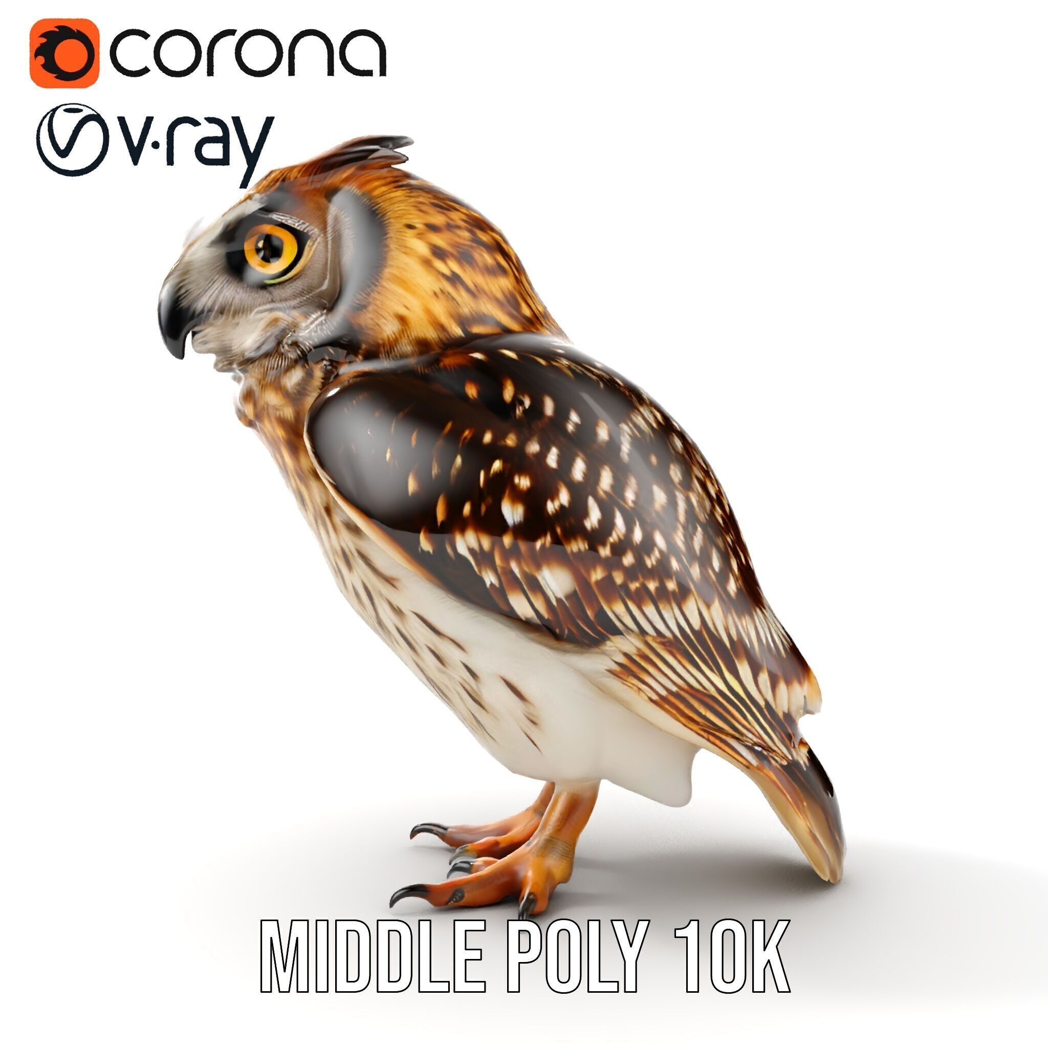 Owl Model Pack Detailed and Versatile Low-poly 3D model_7