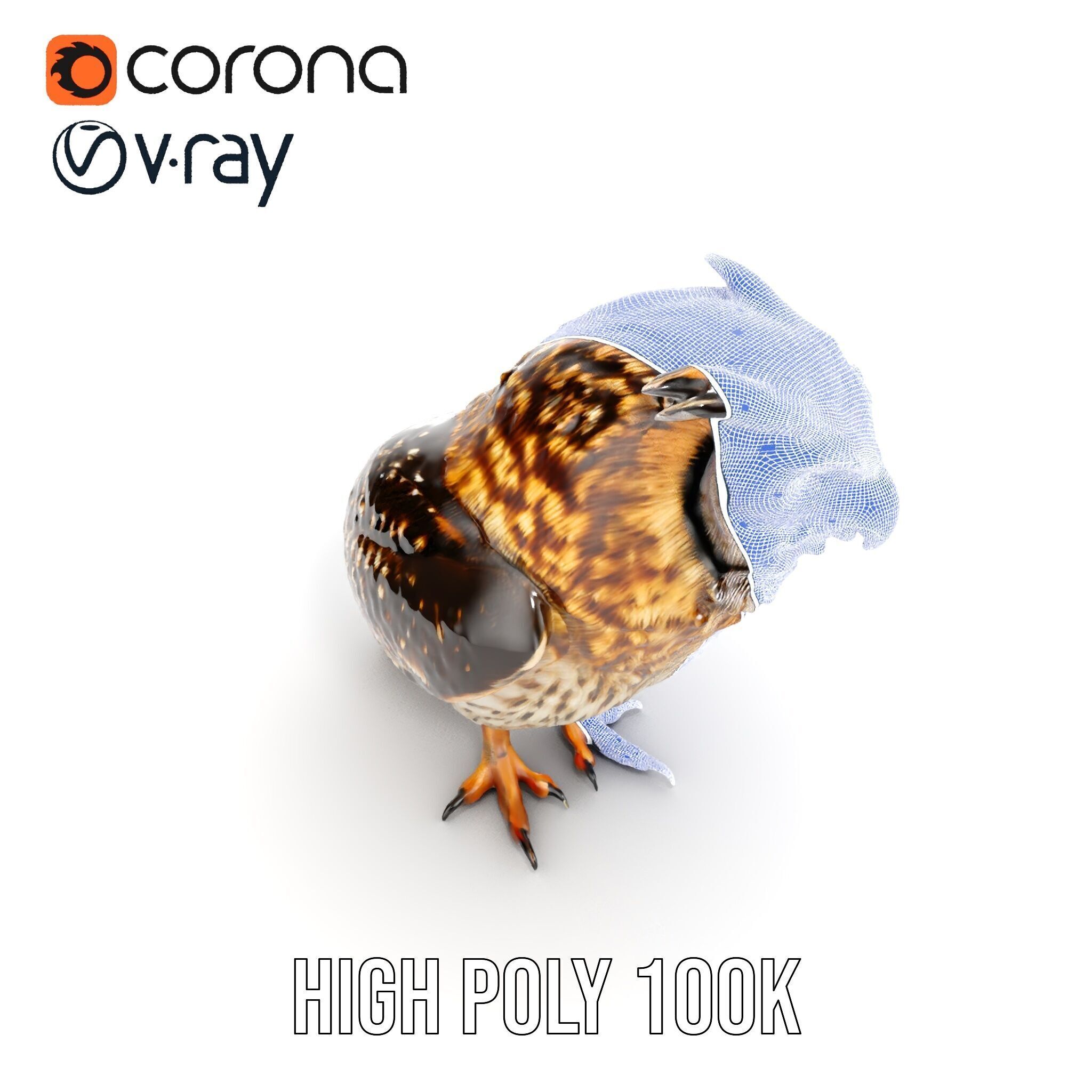 Owl Model Pack Detailed and Versatile Low-poly 3D model_37