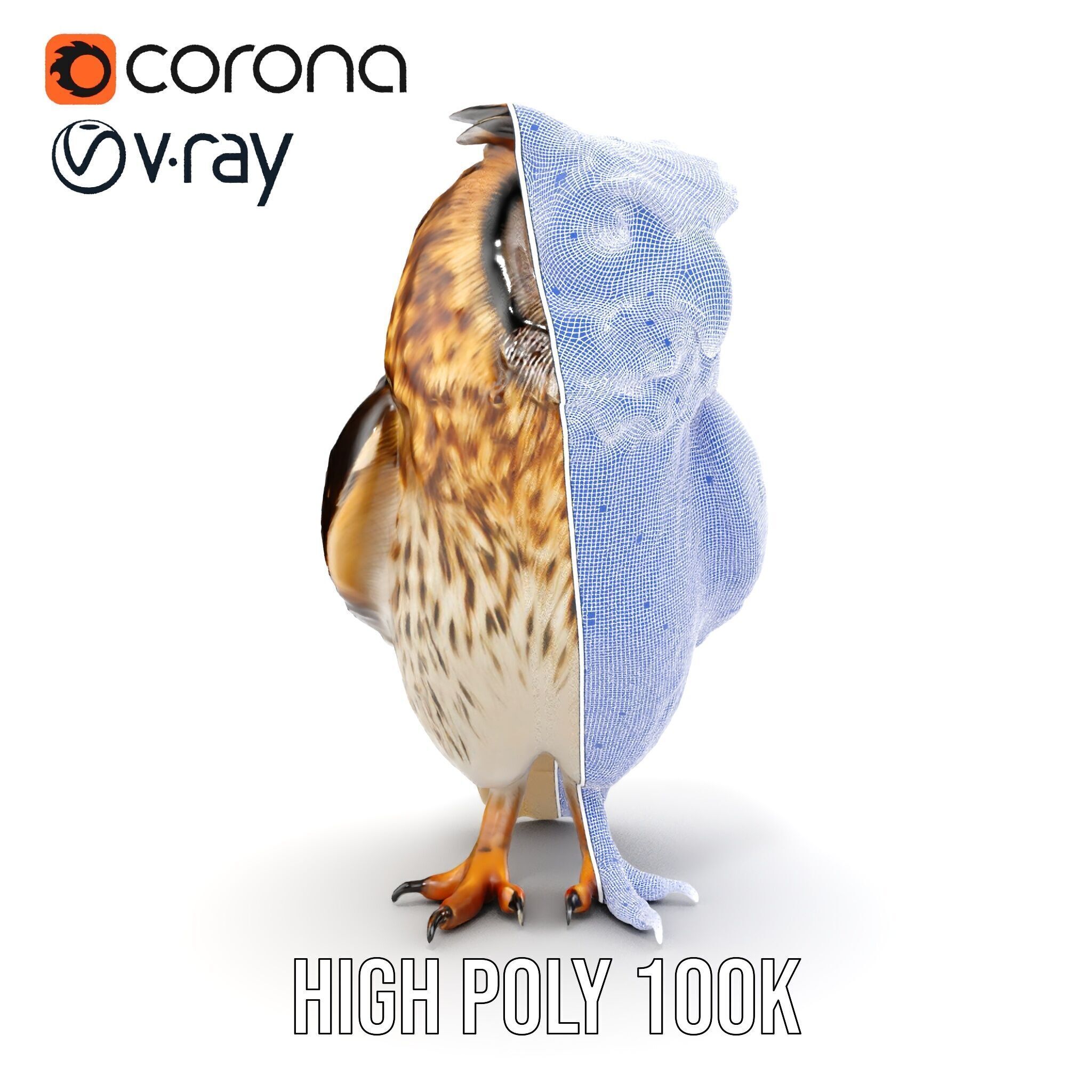 Owl Model Pack Detailed and Versatile Low-poly 3D model_39