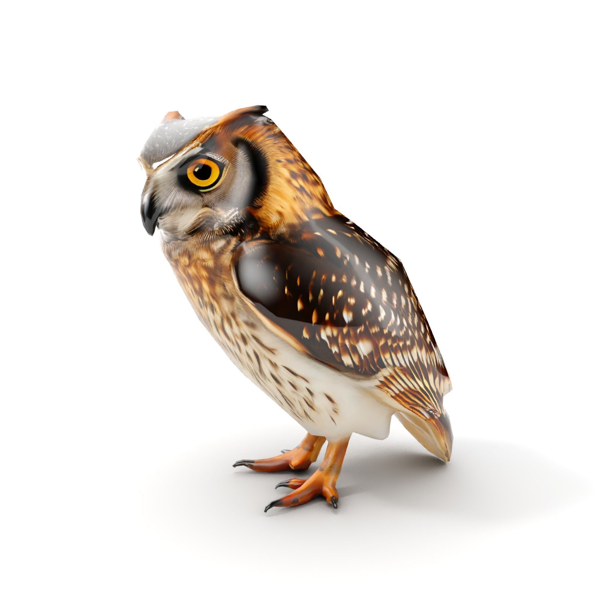 Owl Model Pack Detailed and Versatile Low-poly 3D model_17
