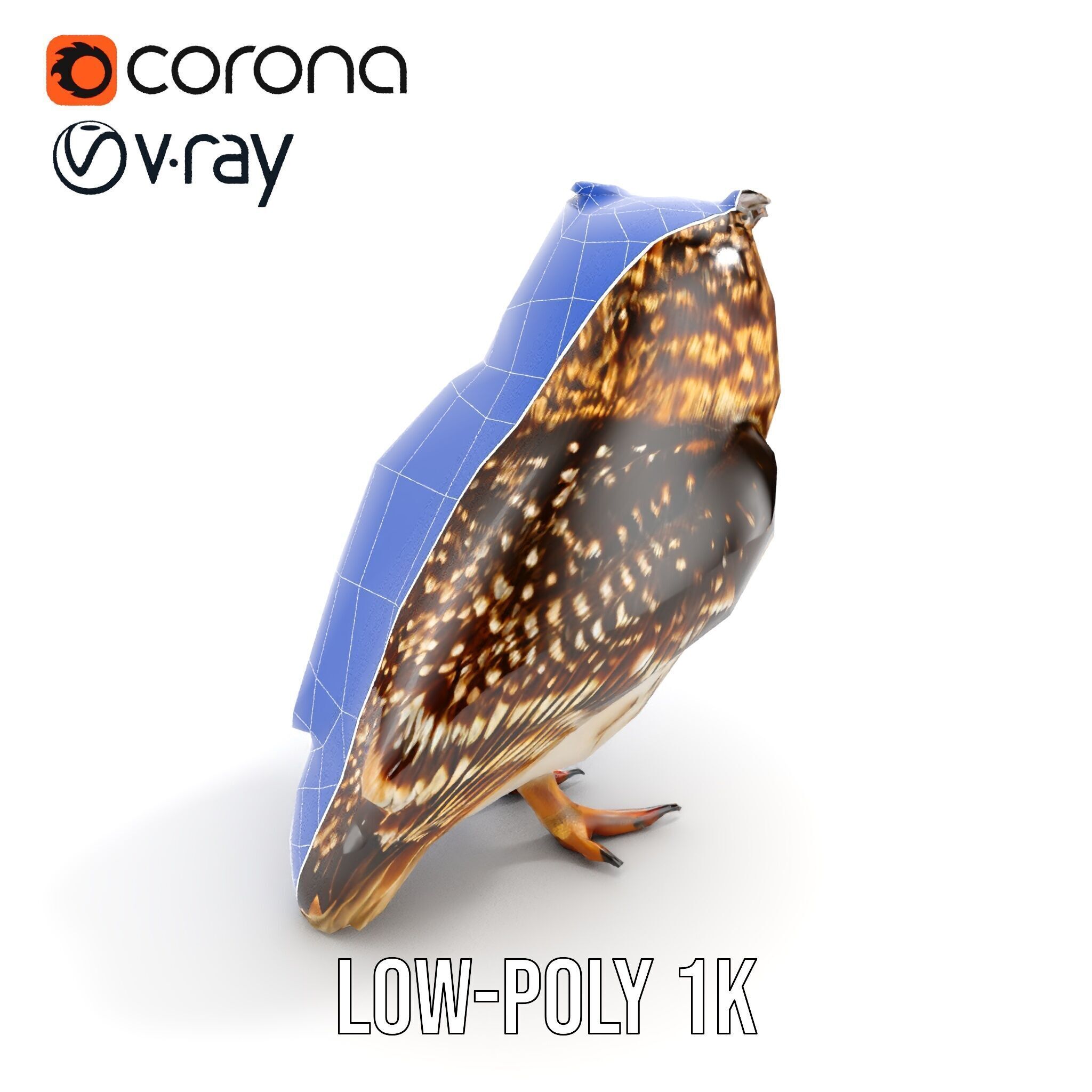 Owl Model Pack Detailed and Versatile Low-poly 3D model_11