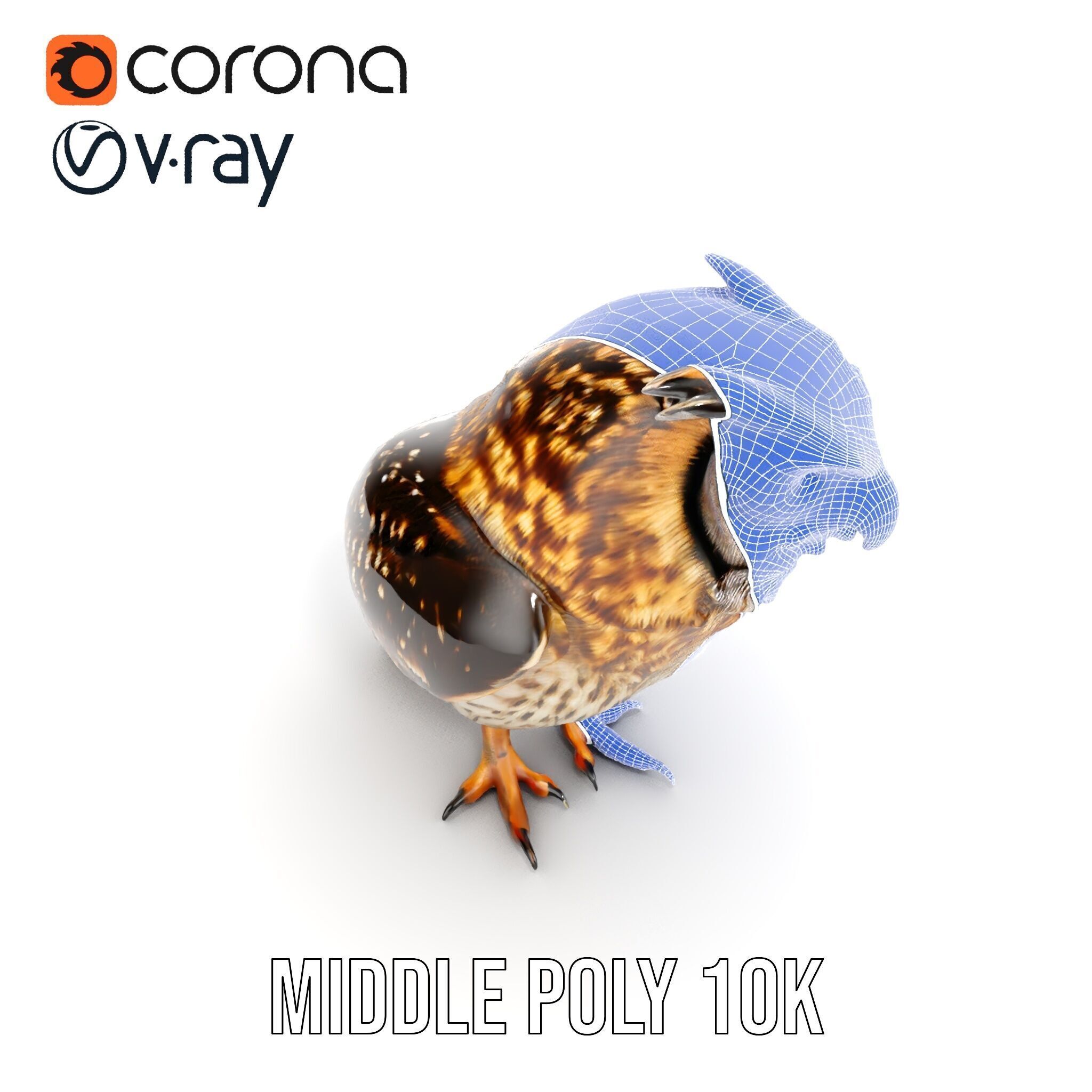 Owl Model Pack Detailed and Versatile Low-poly 3D model_32