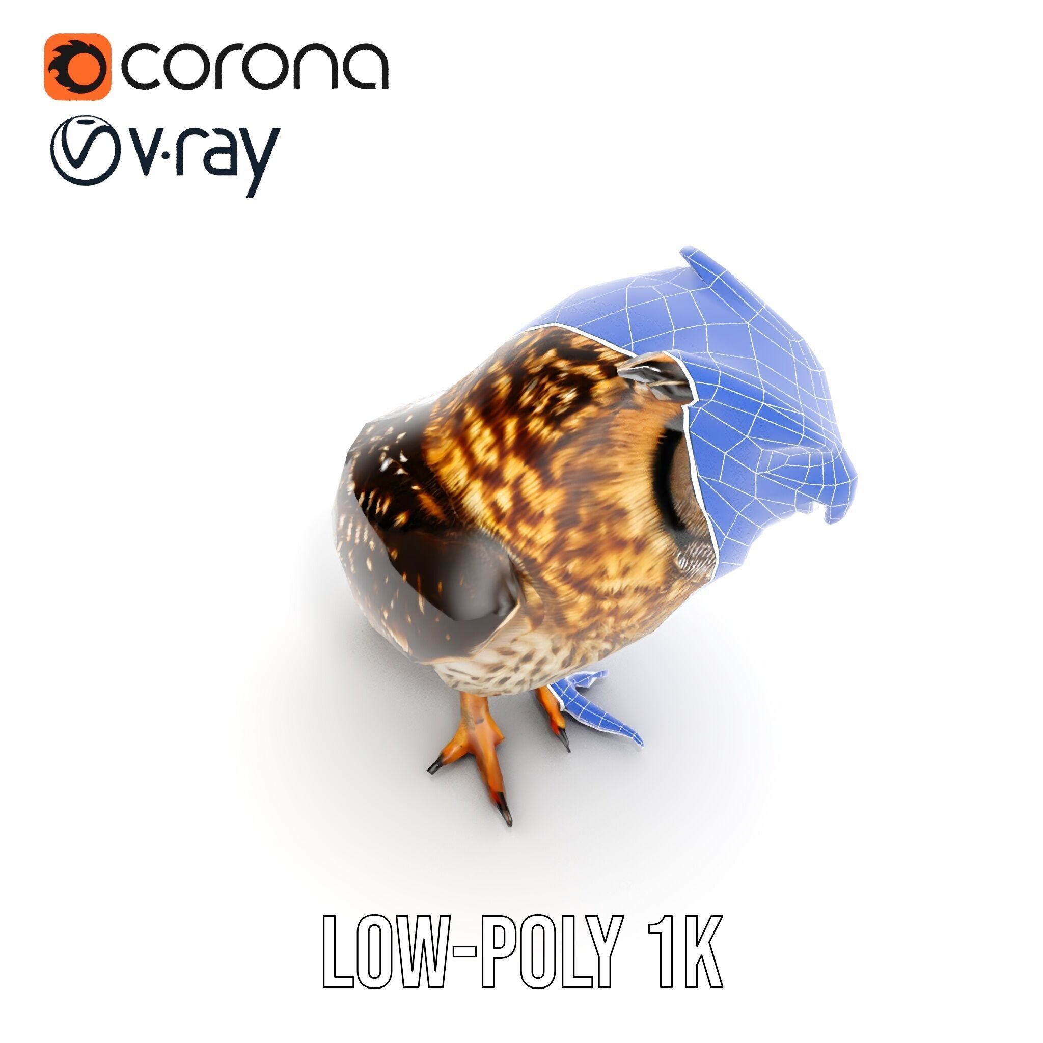 Owl Model Pack Detailed and Versatile Low-poly 3D model_27