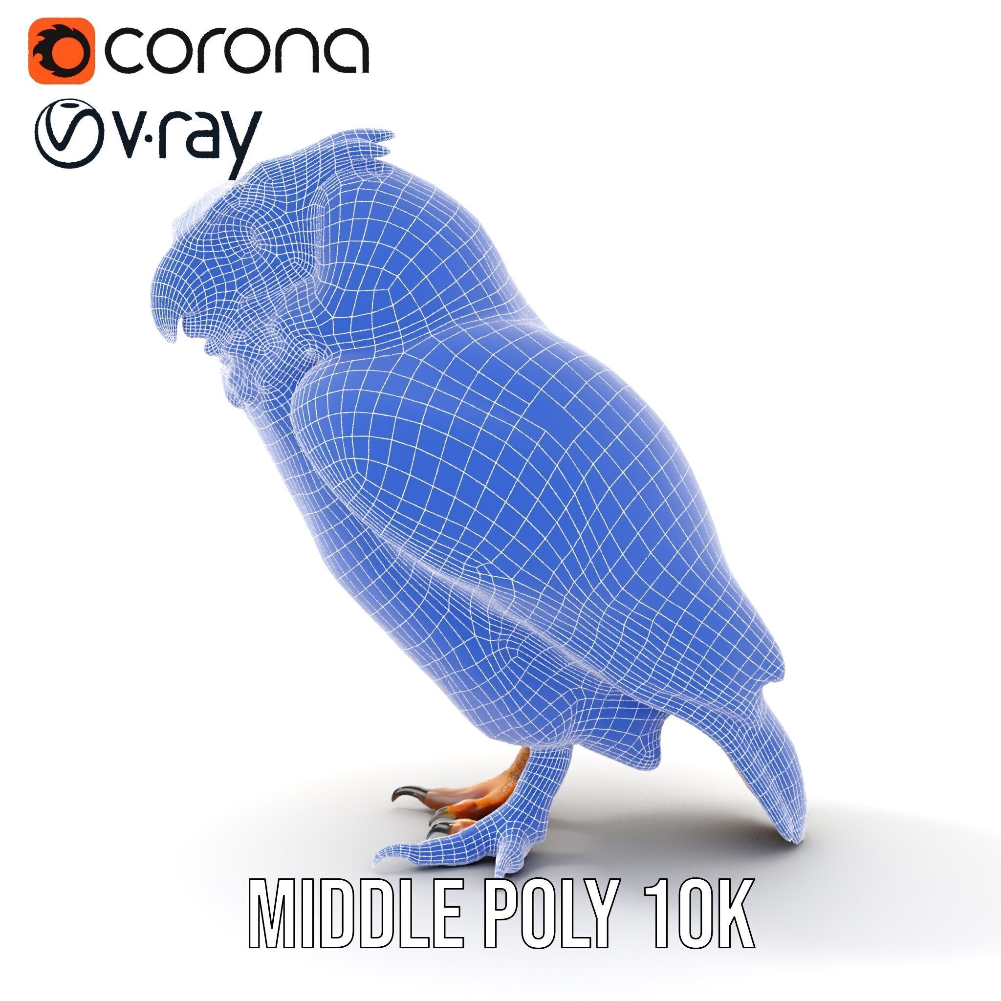 Owl Model Pack Detailed and Versatile Low-poly 3D model_29