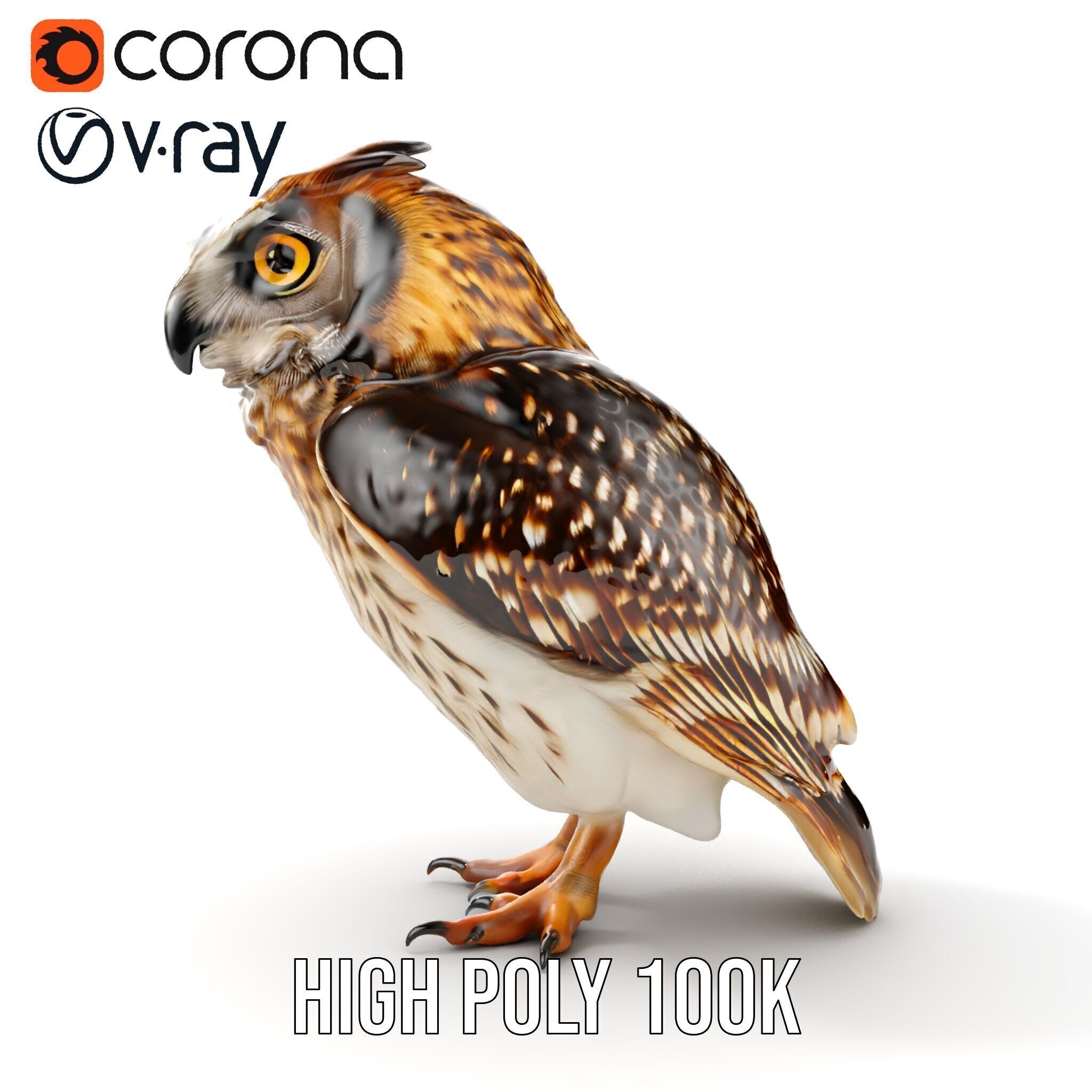 Owl Model Pack Detailed and Versatile Low-poly 3D model_36