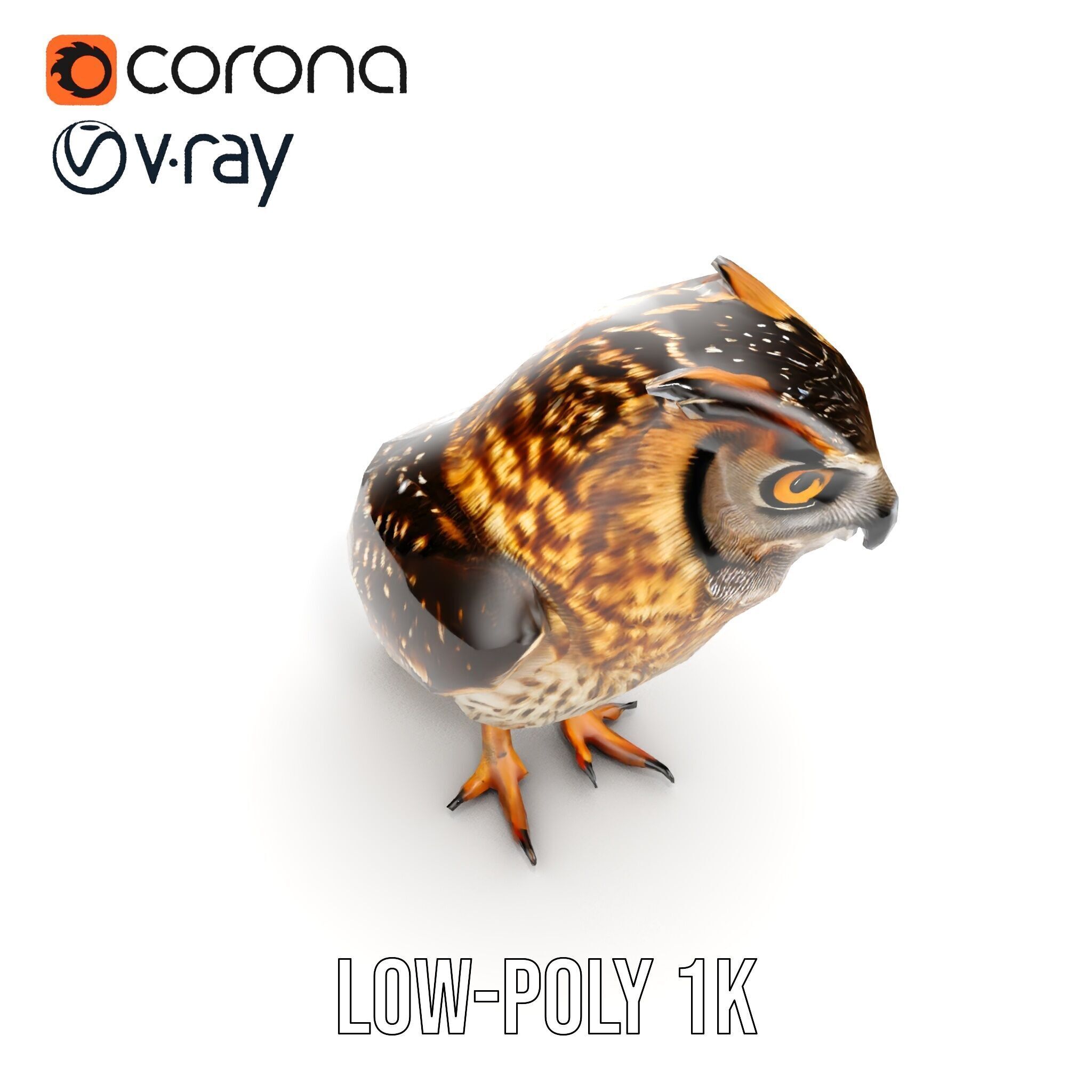Owl Model Pack Detailed and Versatile Low-poly 3D model_19