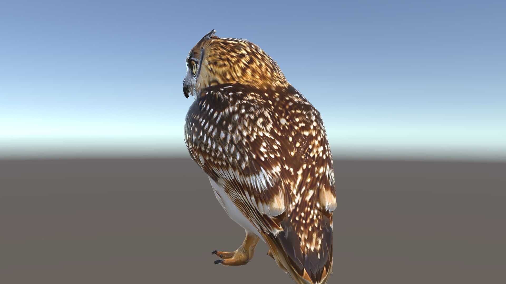 Owl Model Pack Detailed and Versatile Low-poly 3D model_35