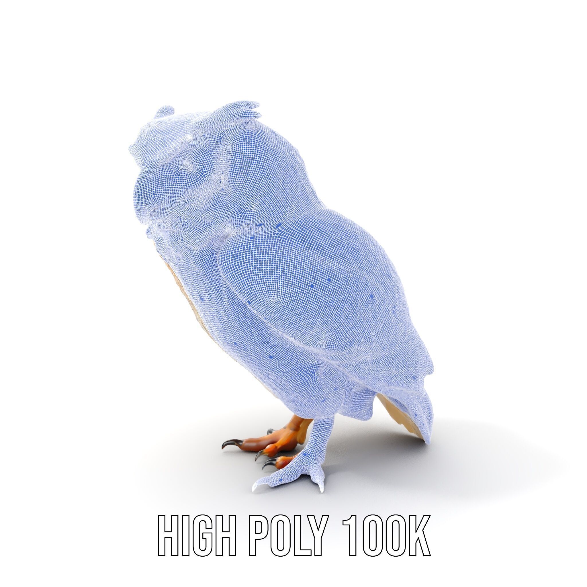 Owl Model Pack Detailed and Versatile Low-poly 3D model_5