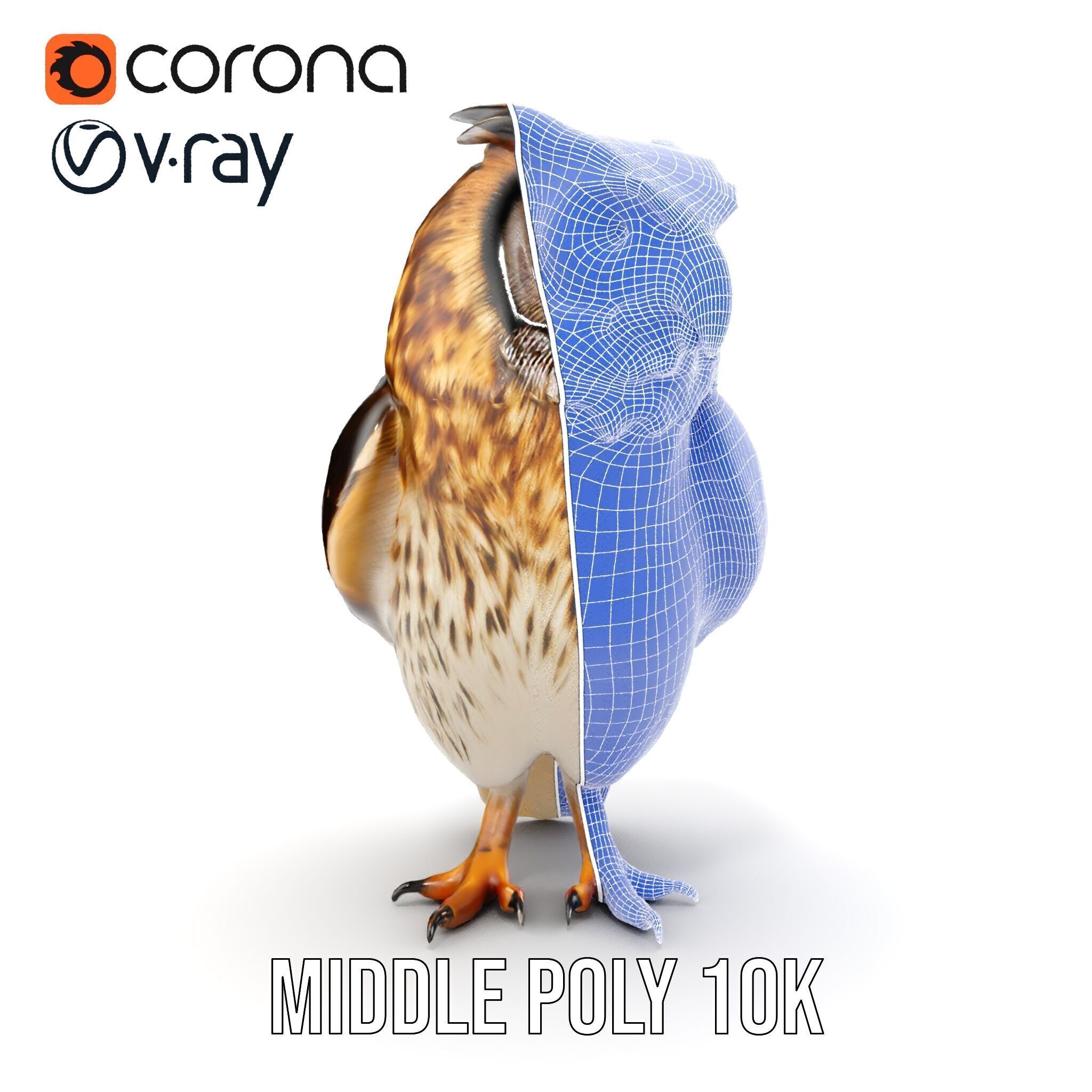 Owl Model Pack Detailed and Versatile Low-poly 3D model_26