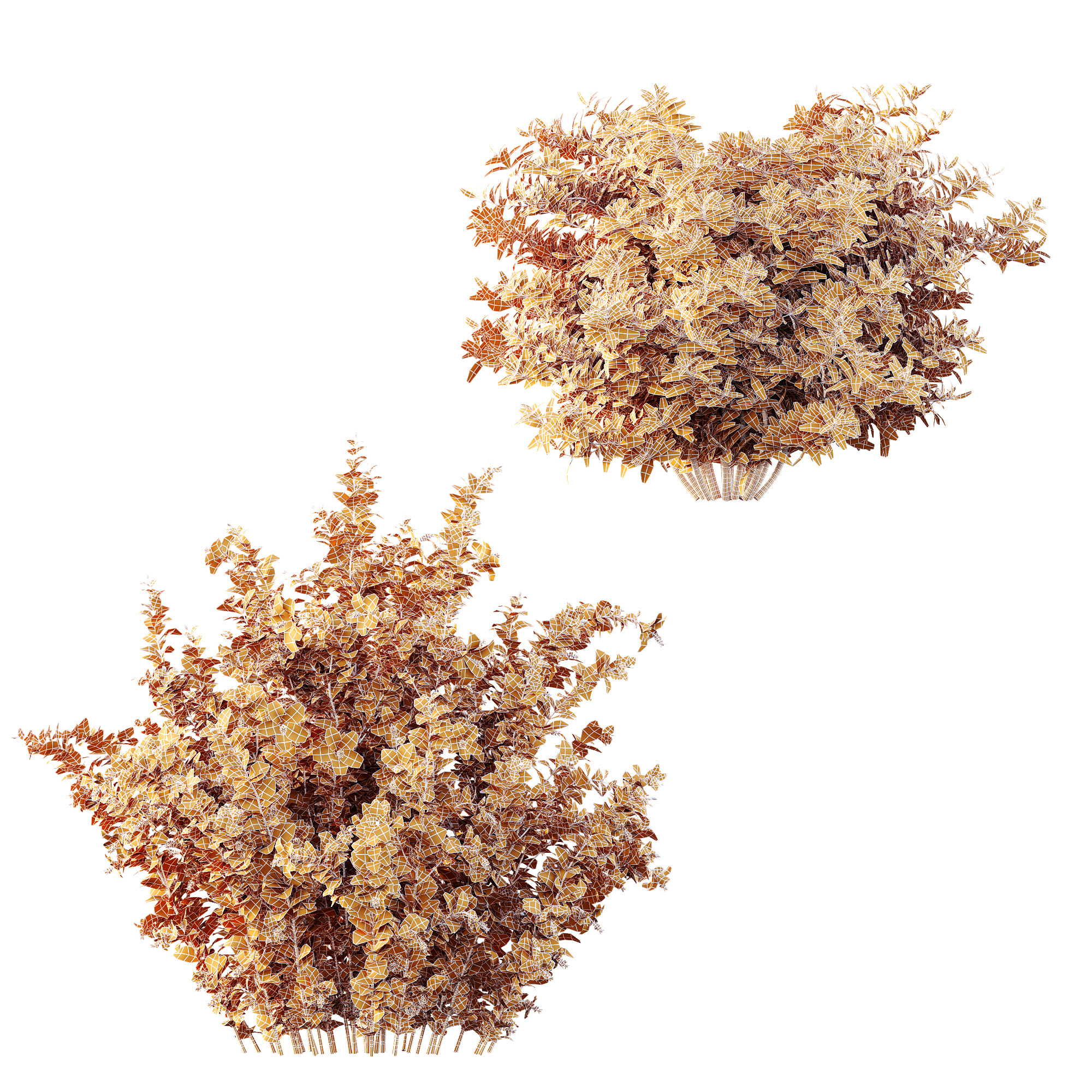 AV Spring bushes Rosa Sinensis Red Abelia Radiance 3D model_13