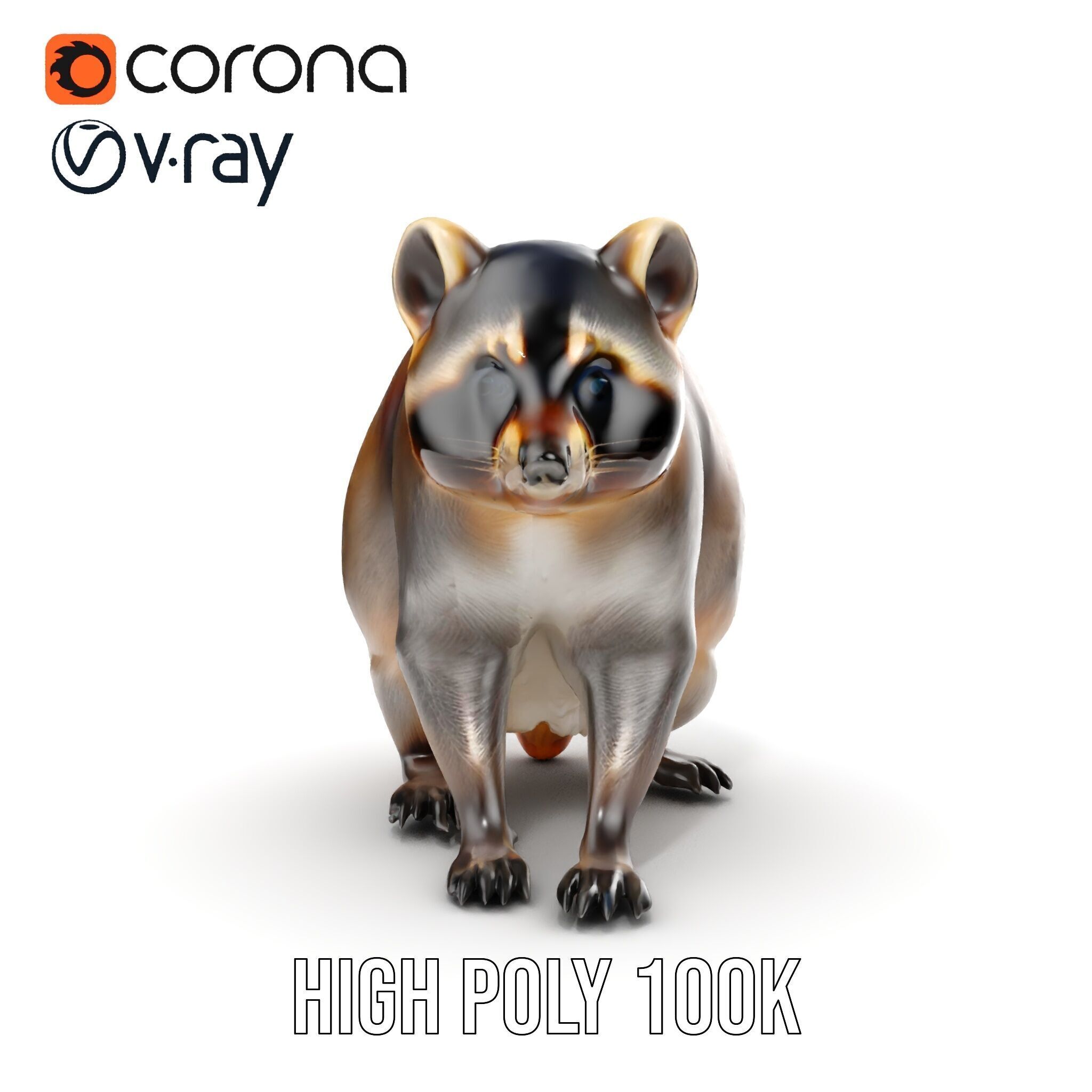 Realistic Raccoon Model Pack Low-poly 3D model_30