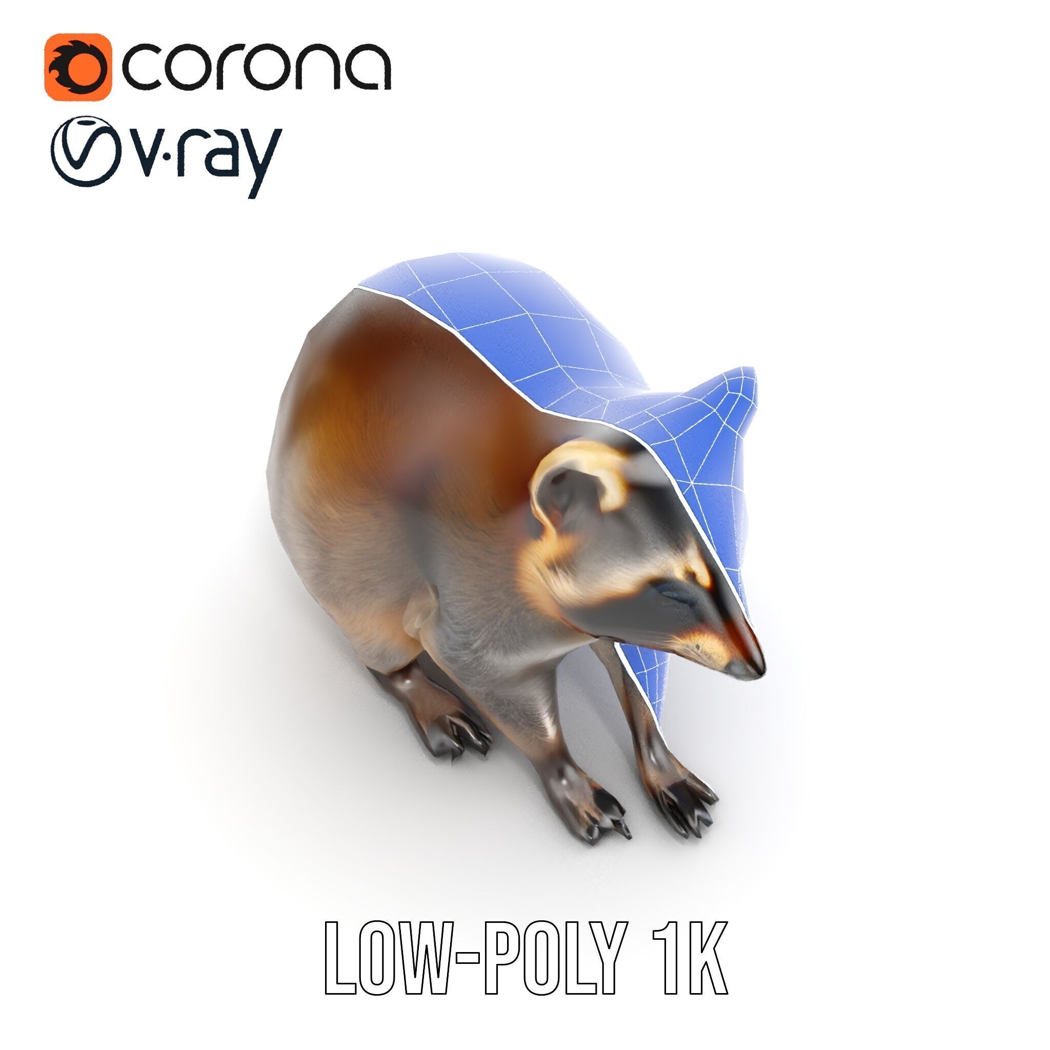 Realistic Raccoon Model Pack Low-poly 3D model_27