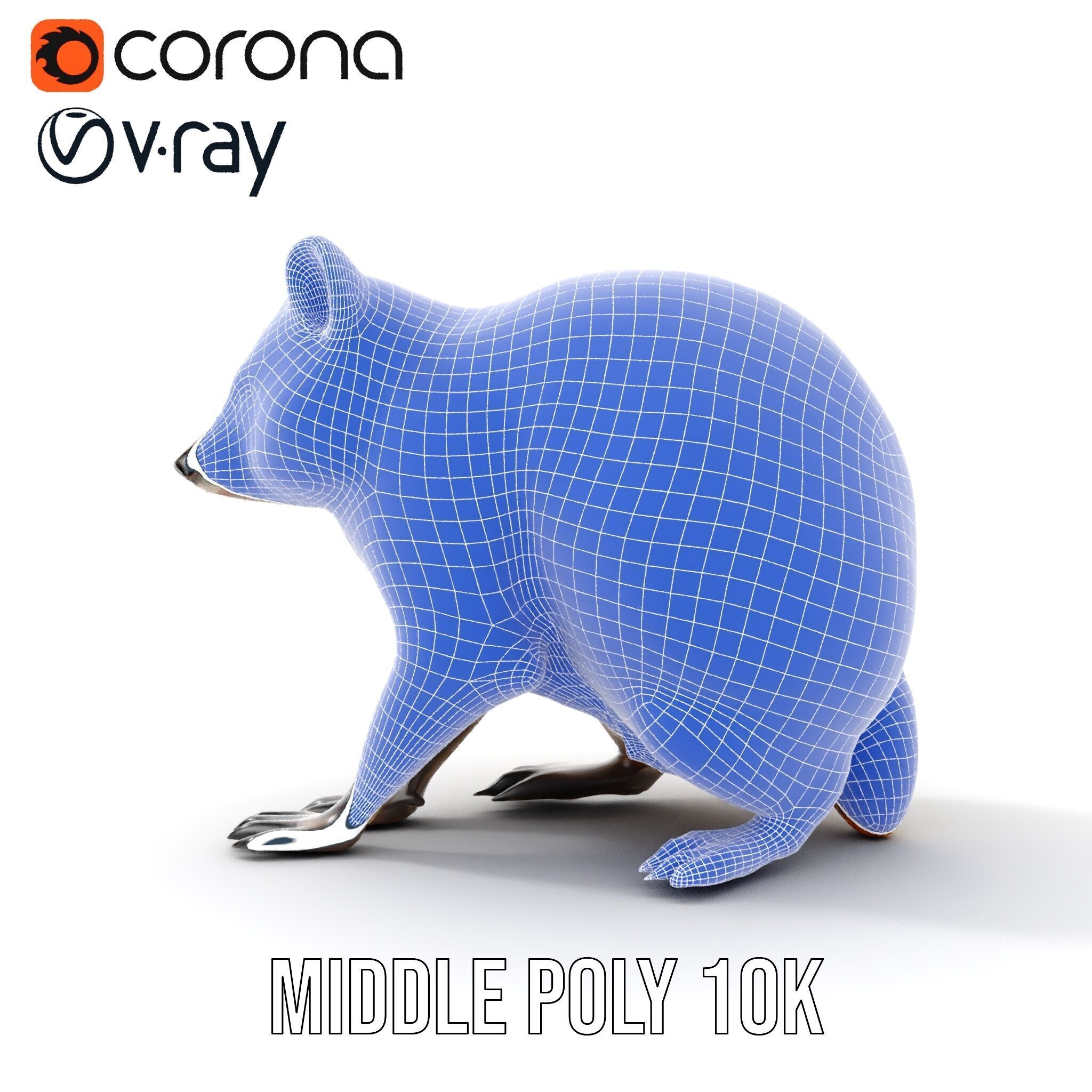 Realistic Raccoon Model Pack Low-poly 3D model_23