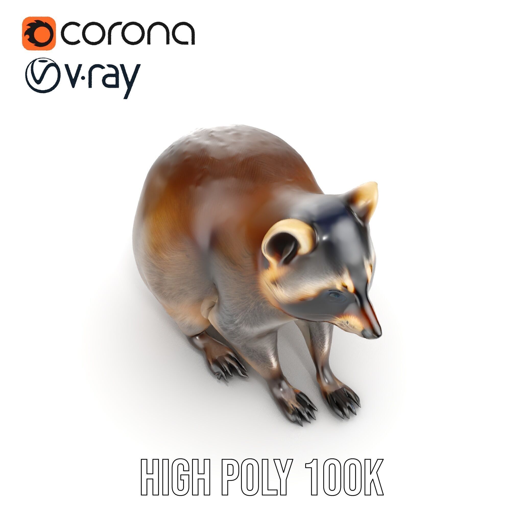 Realistic Raccoon Model Pack Low-poly 3D model_20