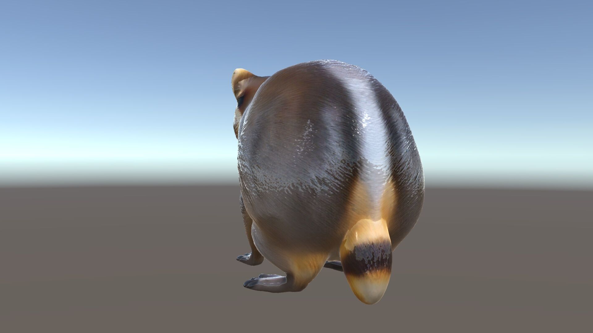 Realistic Raccoon Model Pack Low-poly 3D model_34