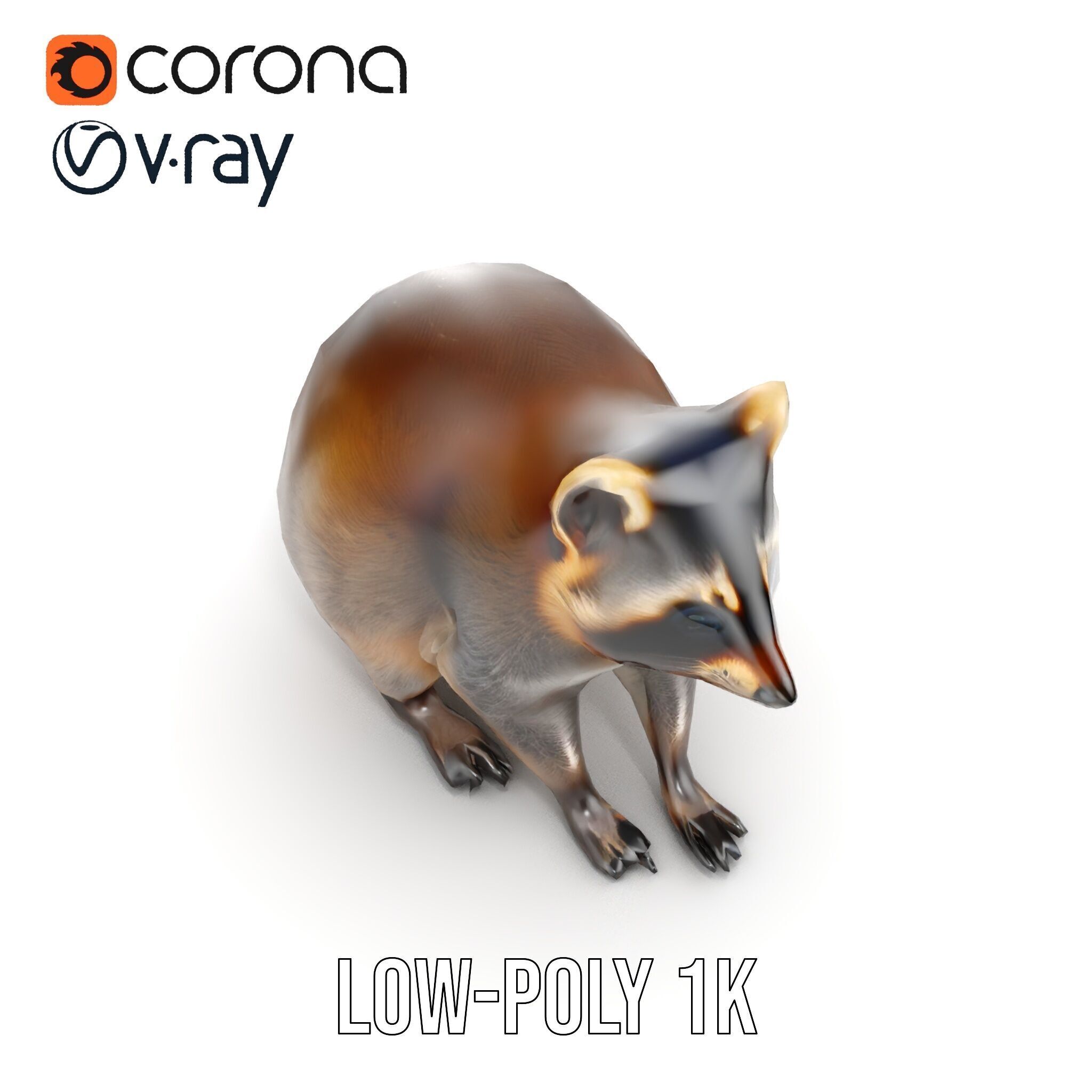 Realistic Raccoon Model Pack Low-poly 3D model_19