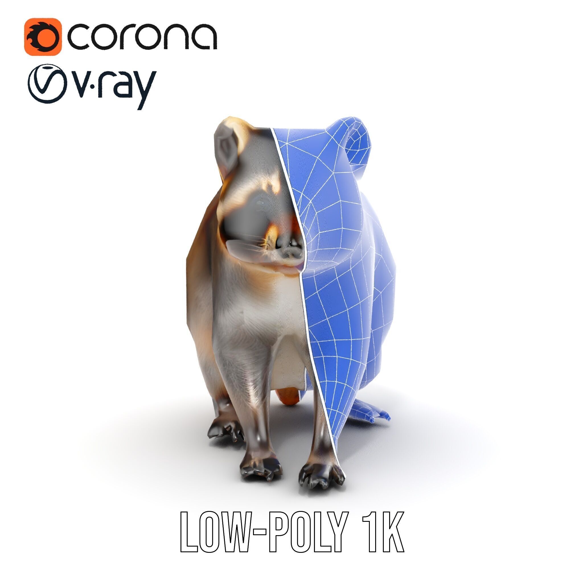 Realistic Raccoon Model Pack Low-poly 3D model_17