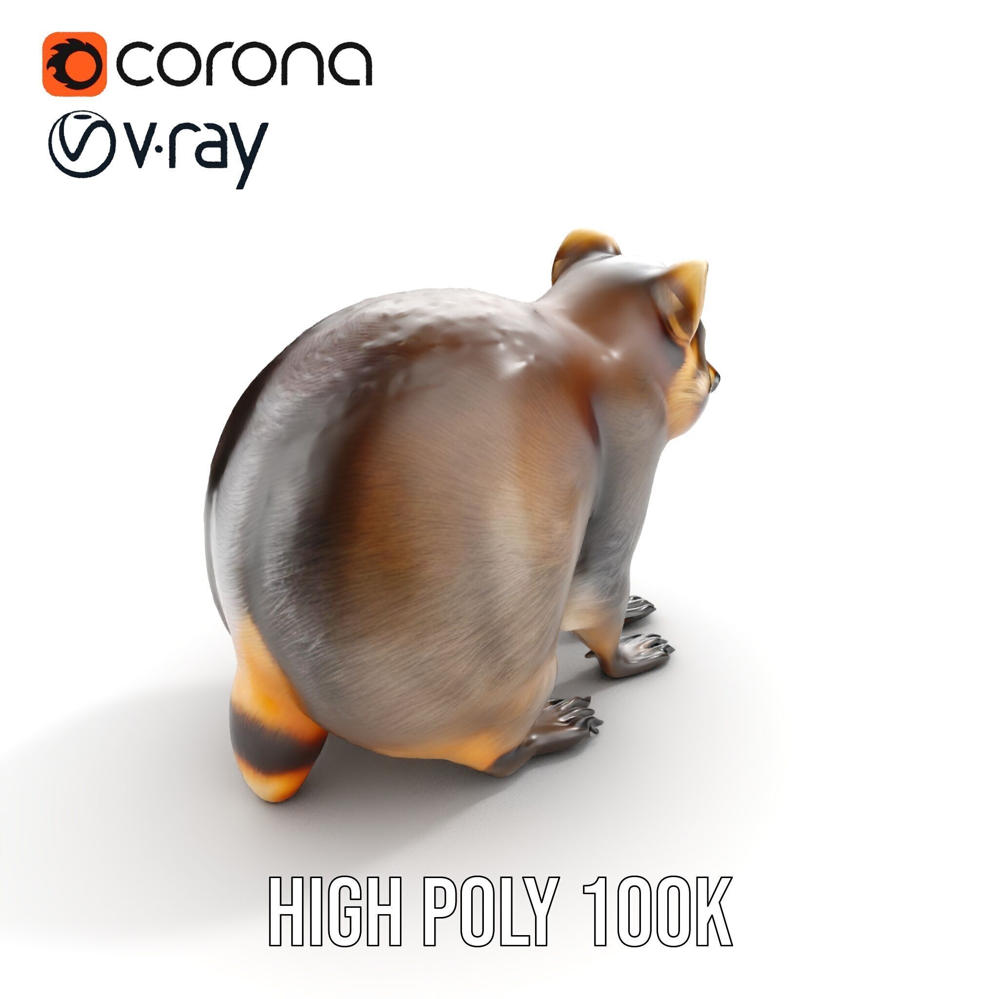 Realistic Raccoon Model Pack Low-poly 3D model_25