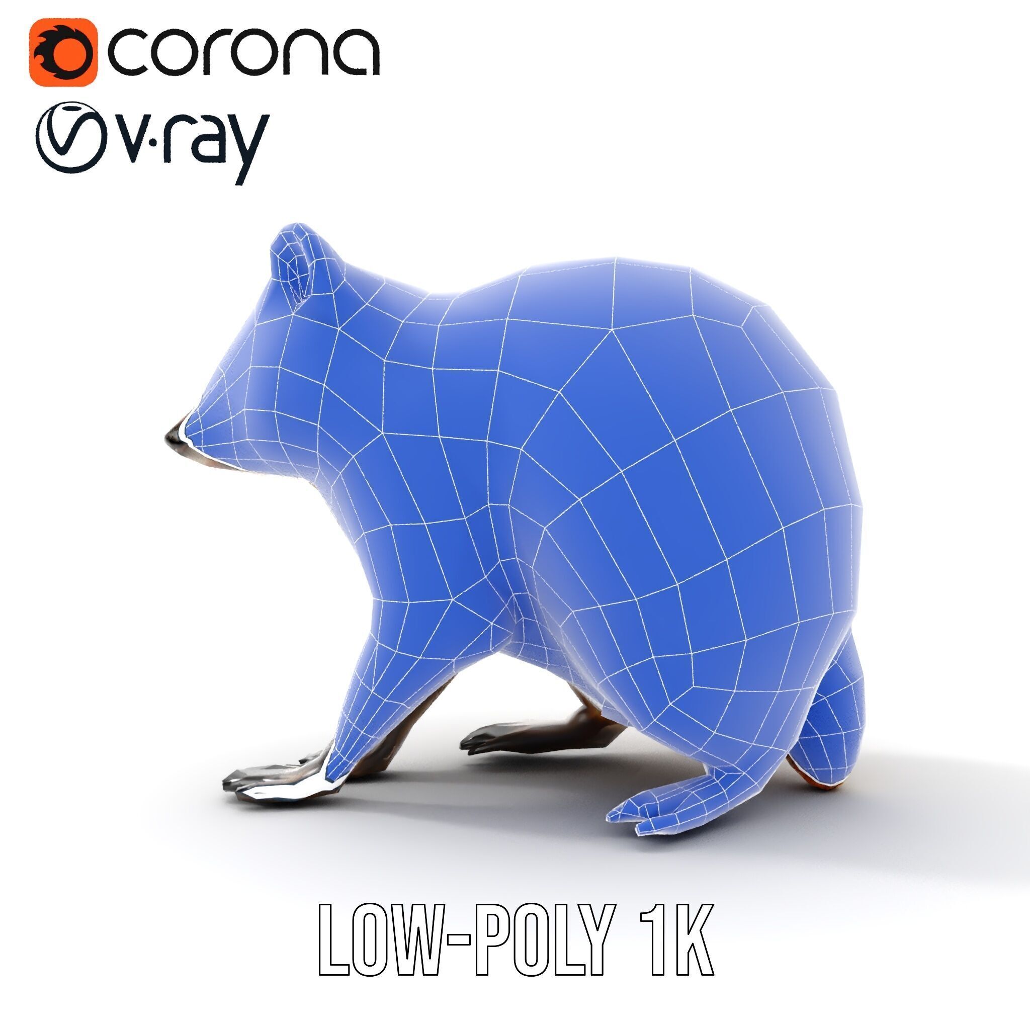 Realistic Raccoon Model Pack Low-poly 3D model_24