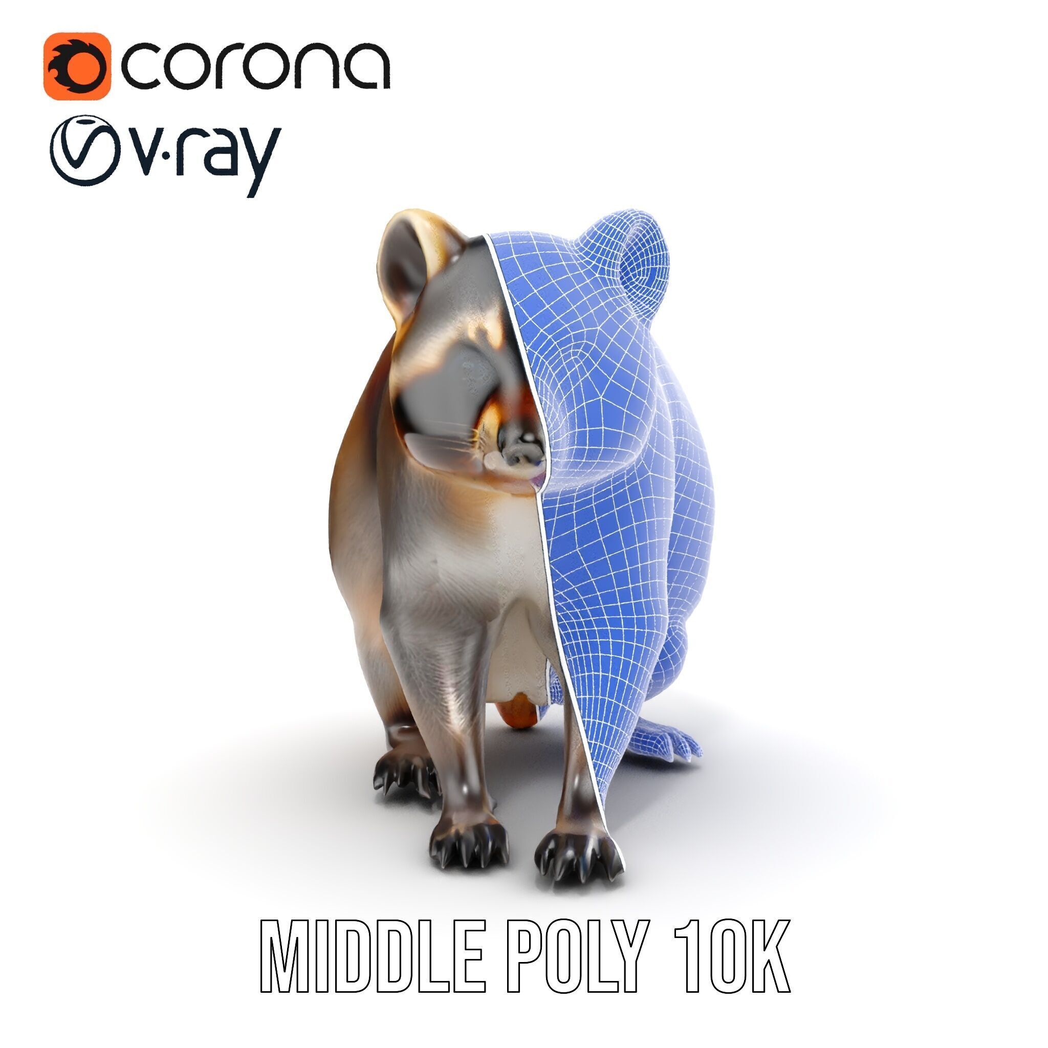 Realistic Raccoon Model Pack Low-poly 3D model_21