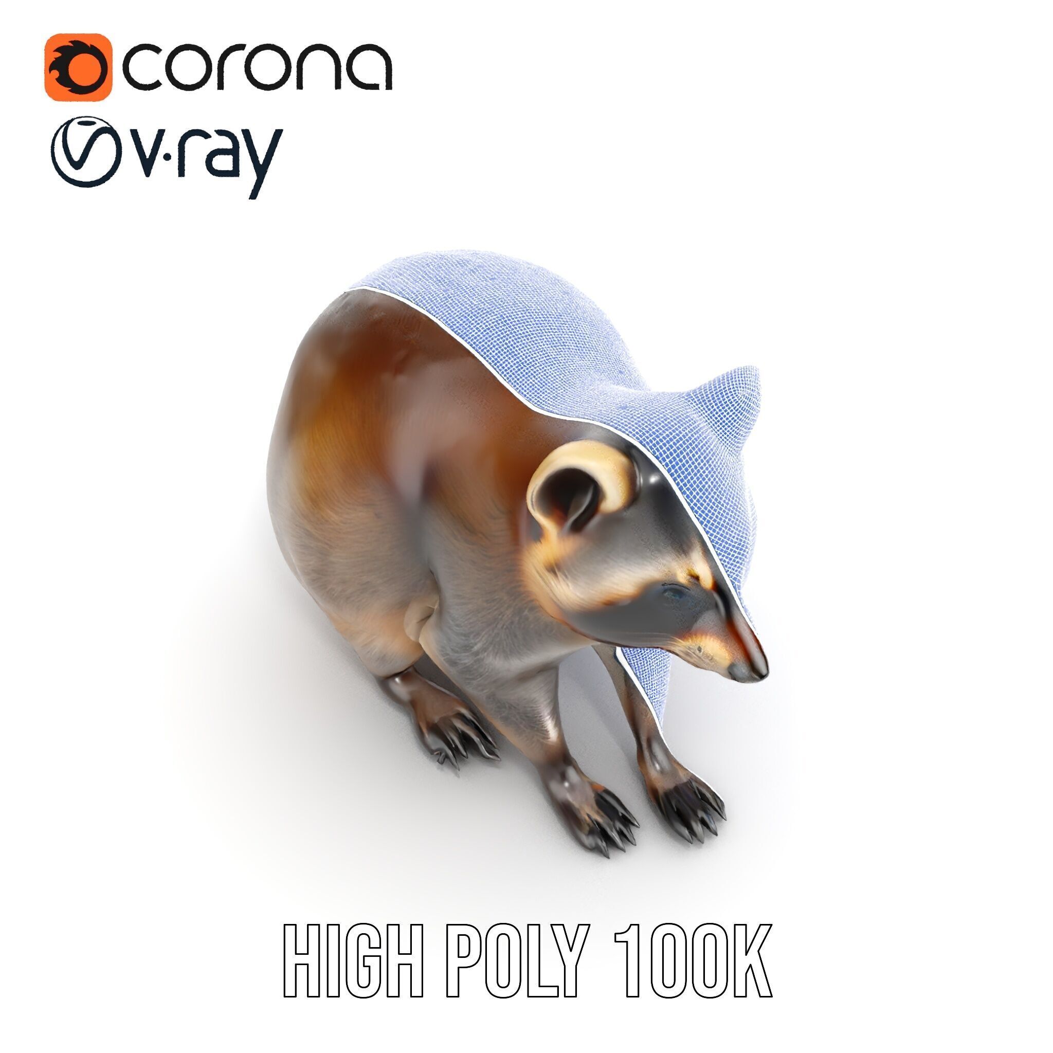 Realistic Raccoon Model Pack Low-poly 3D model_33
