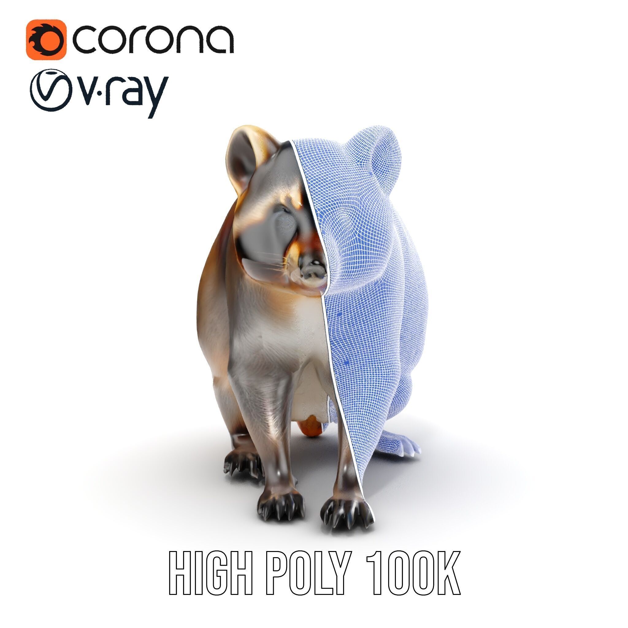 Realistic Raccoon Model Pack Low-poly 3D model_38