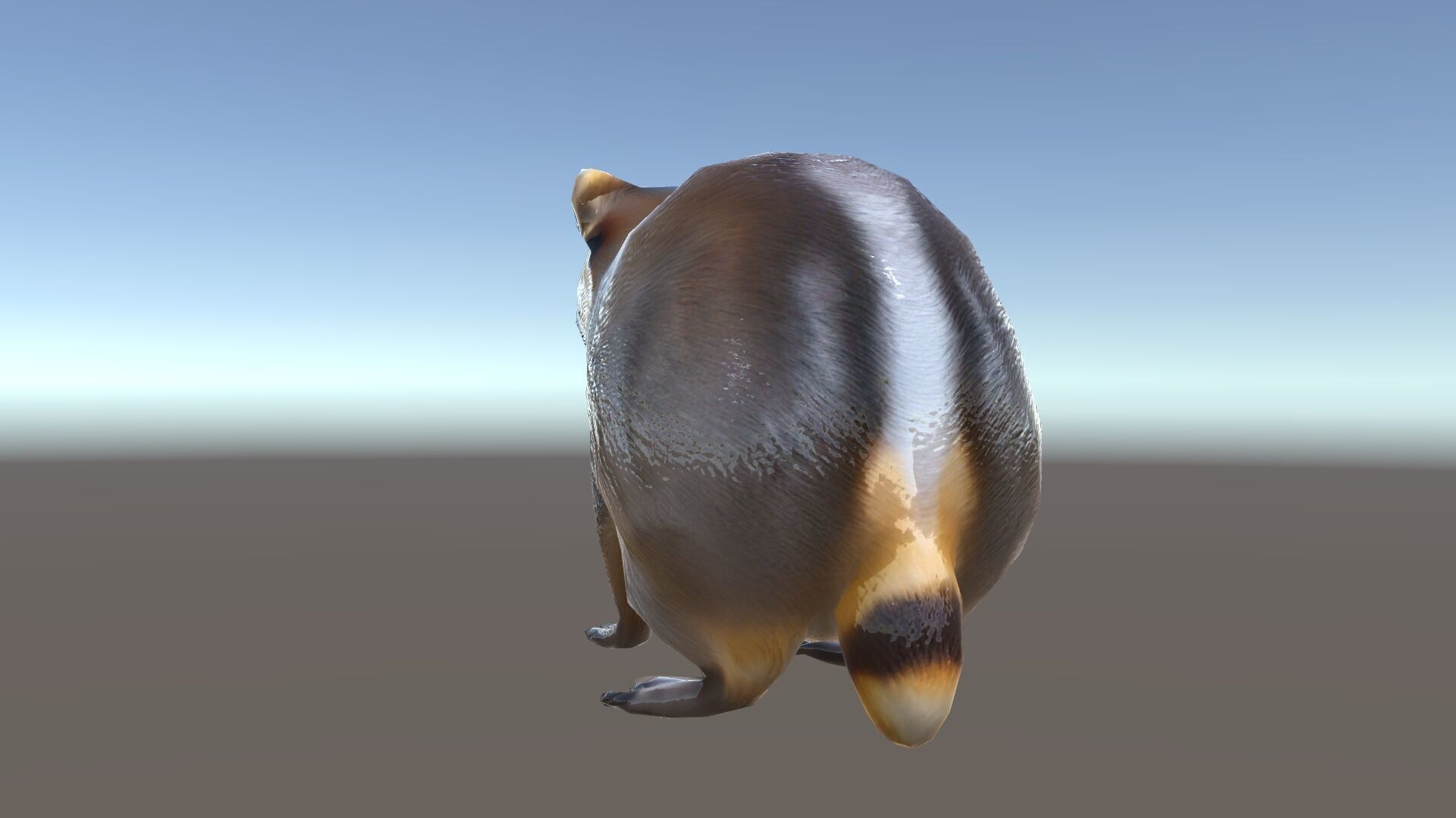 Realistic Raccoon Model Pack Low-poly 3D model_35