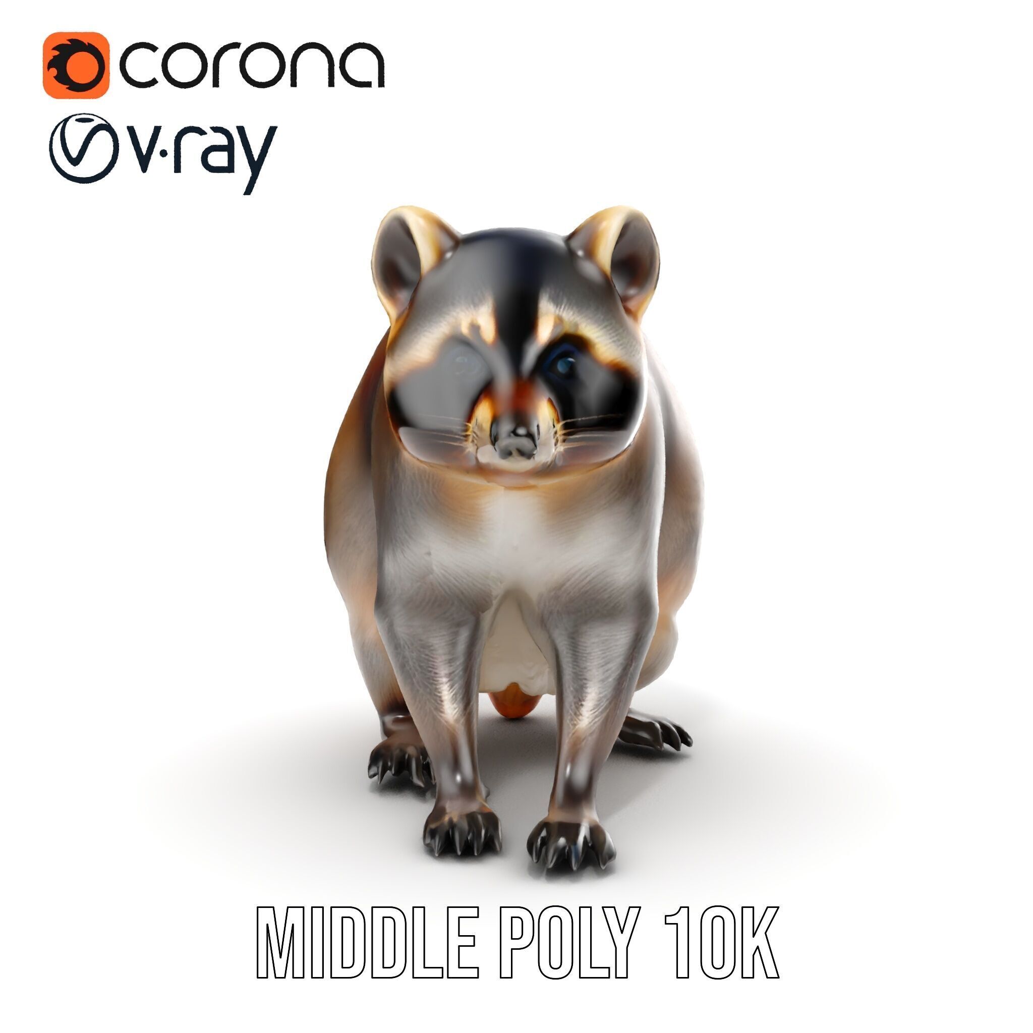 Realistic Raccoon Model Pack Low-poly 3D model_26