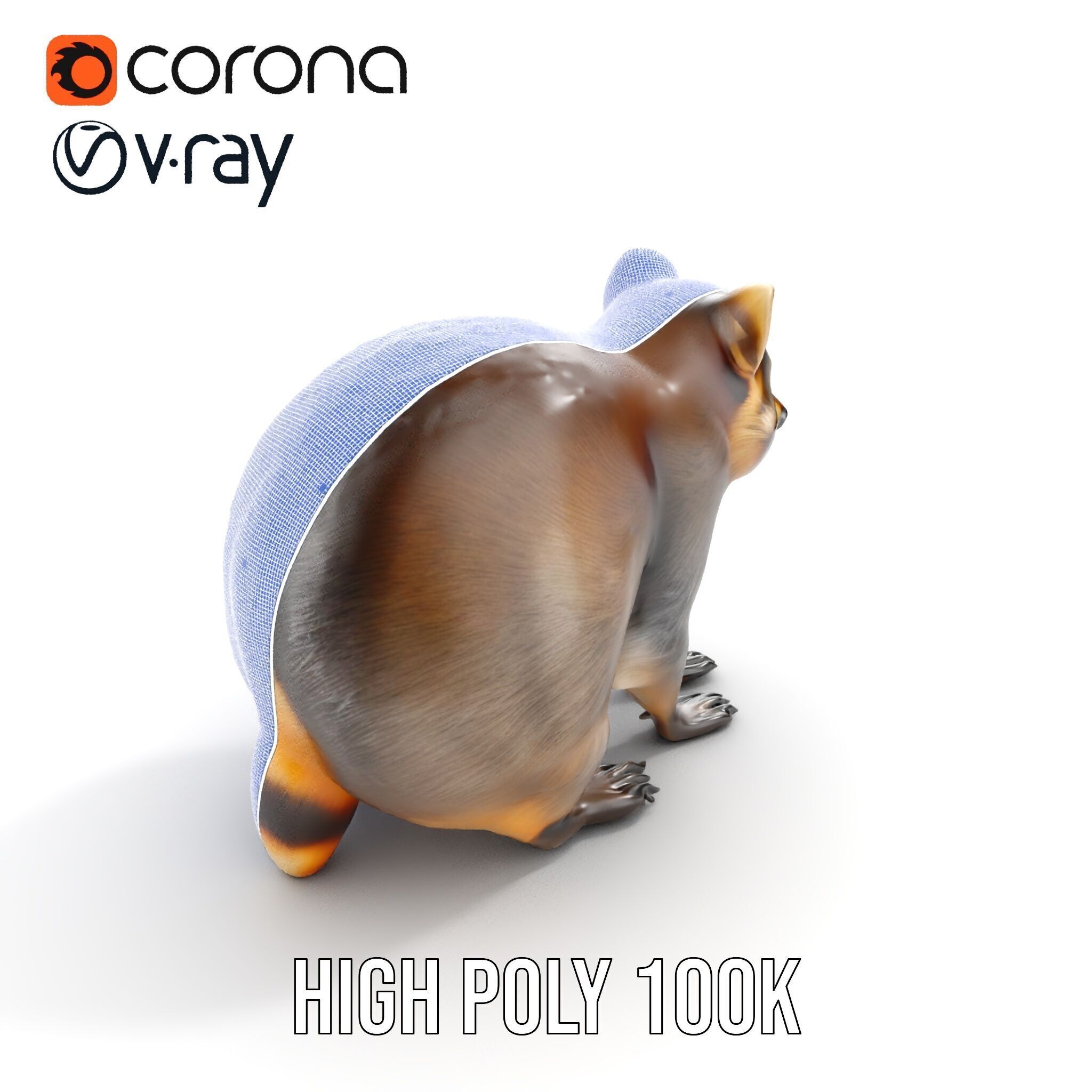 Realistic Raccoon Model Pack Low-poly 3D model_37