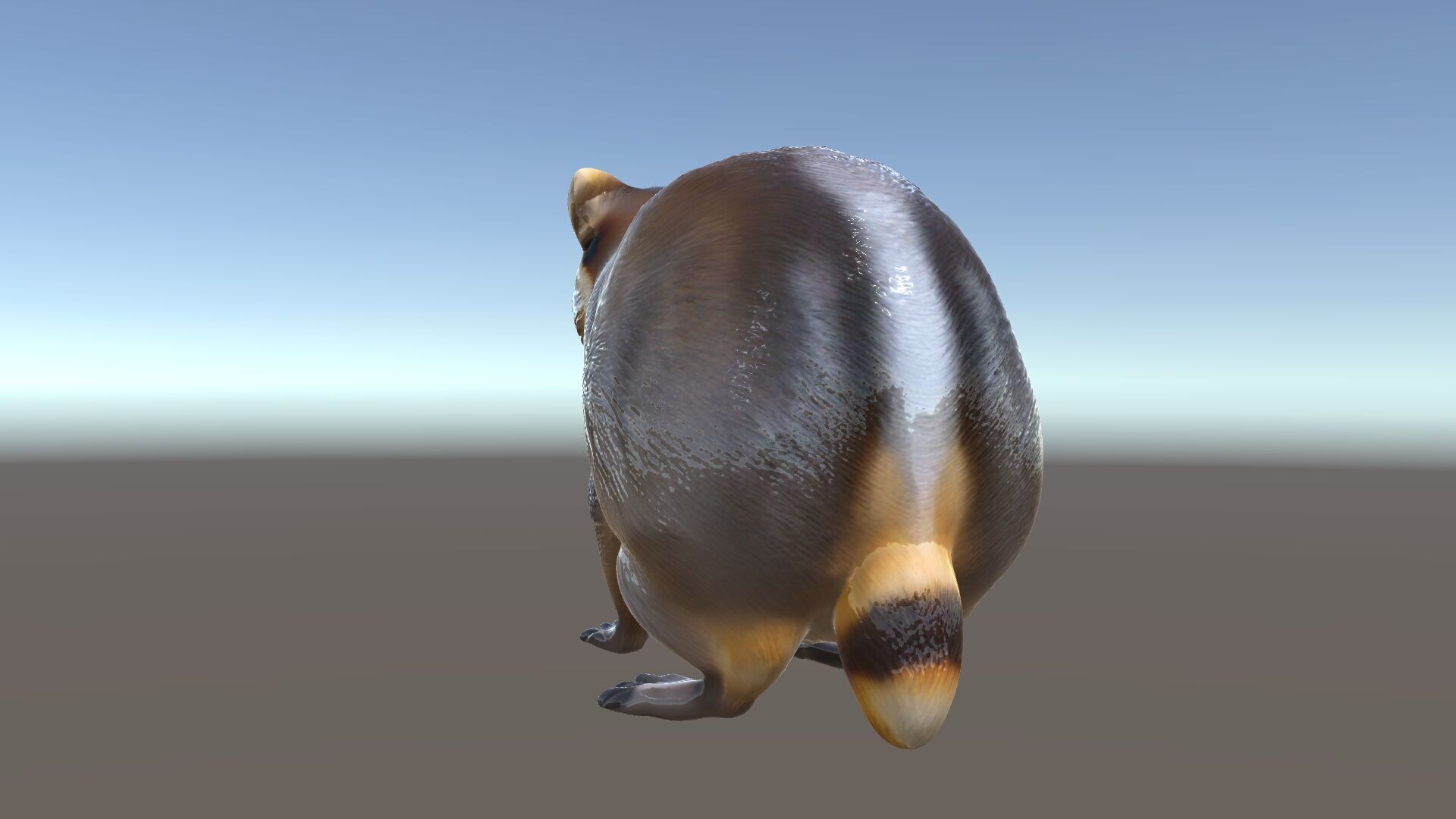 Realistic Raccoon Model Pack Low-poly 3D model_6