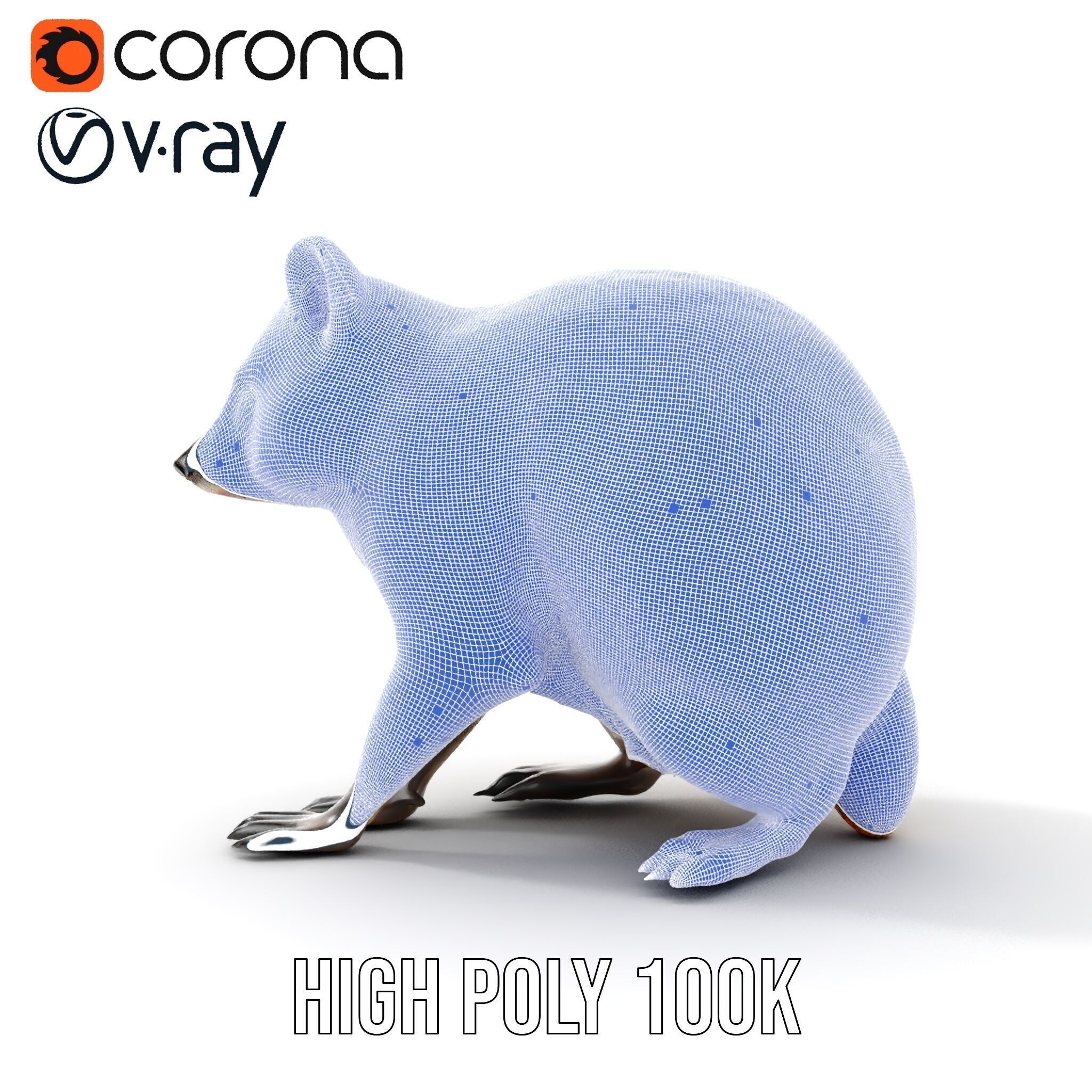 Realistic Raccoon Model Pack Low-poly 3D model_39