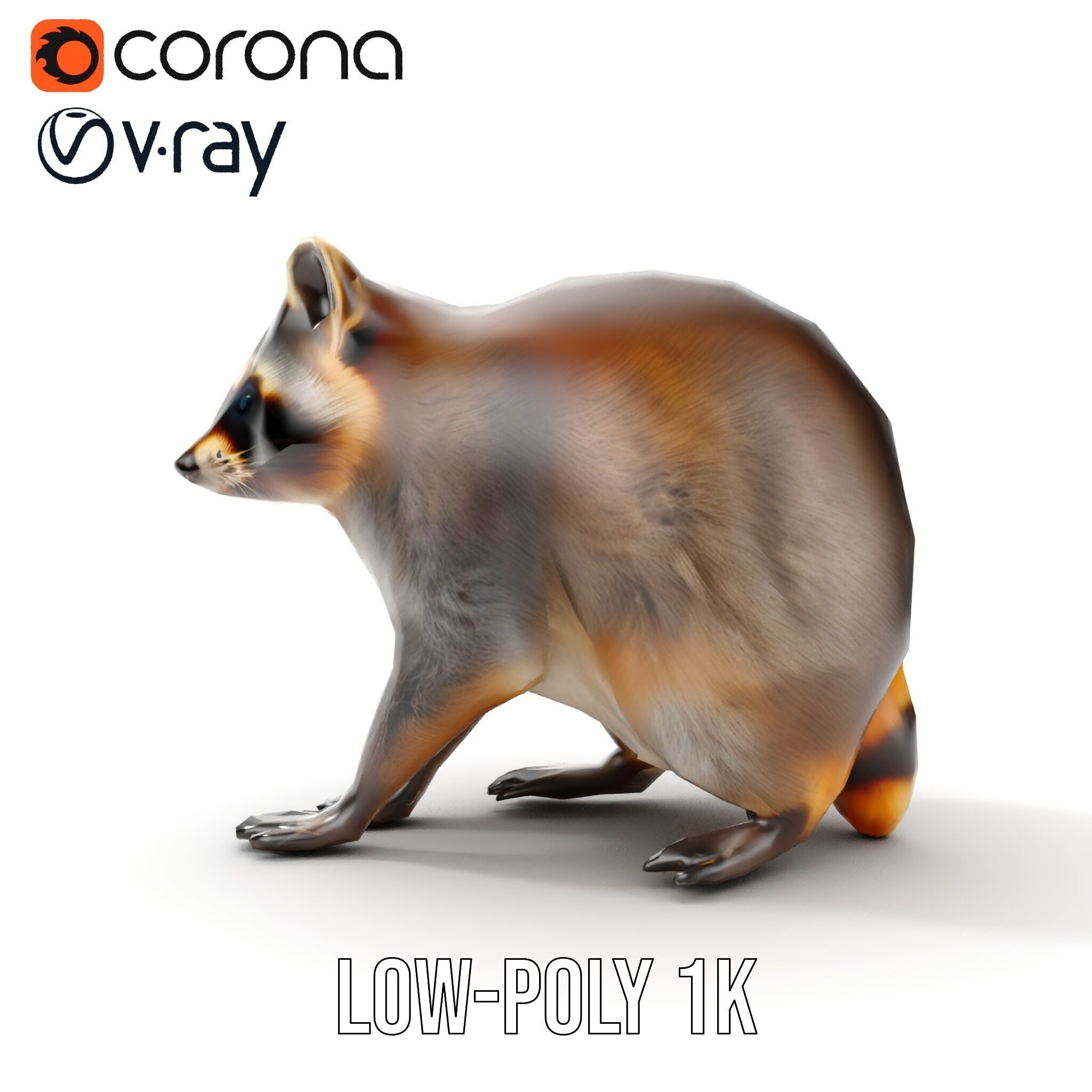 Realistic Raccoon Model Pack Low-poly 3D model_22