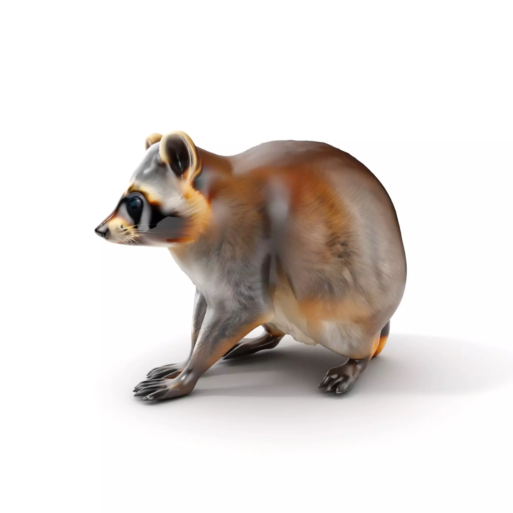 Realistic Raccoon Model Pack Low-poly 3D model_0