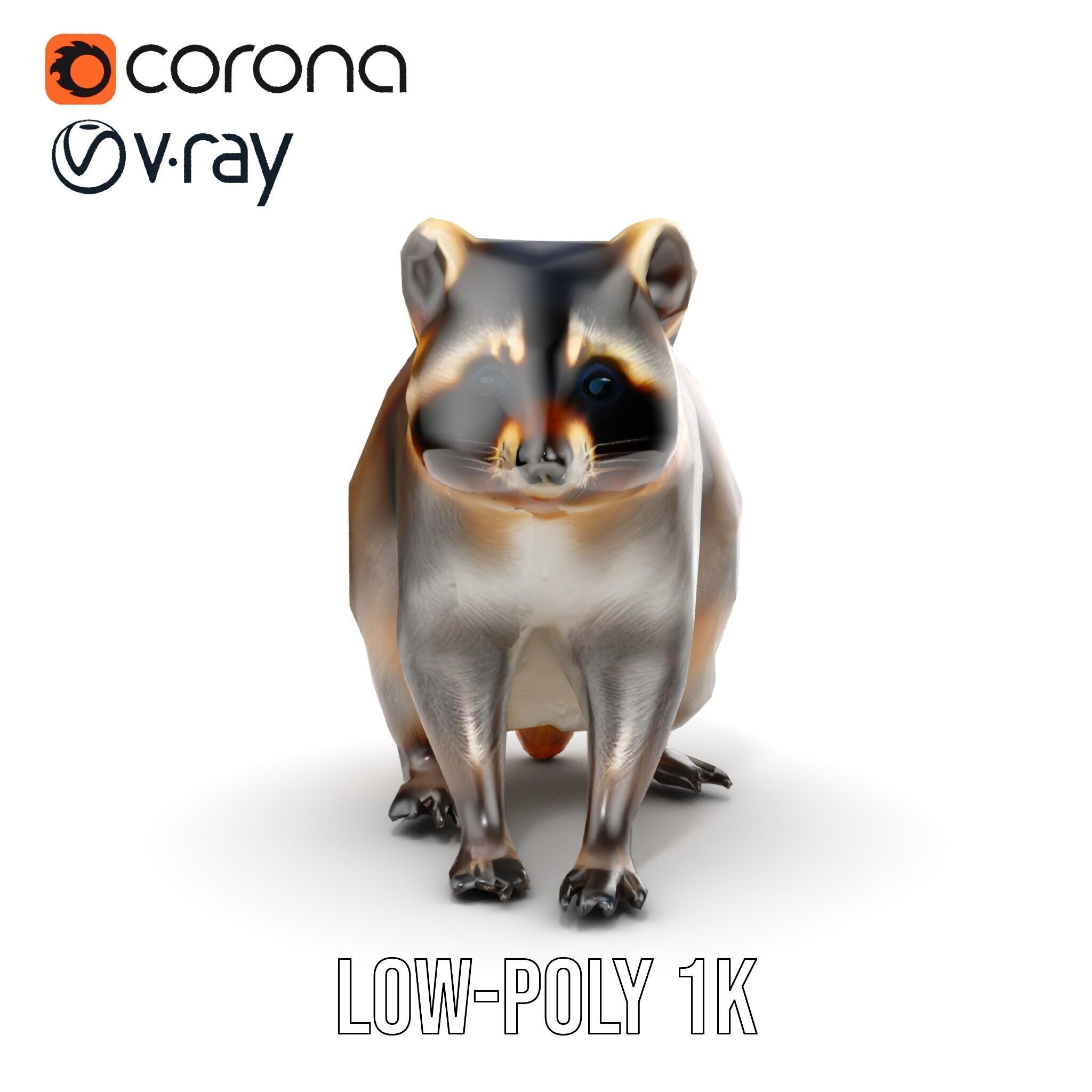 Realistic Raccoon Model Pack Low-poly 3D model_32