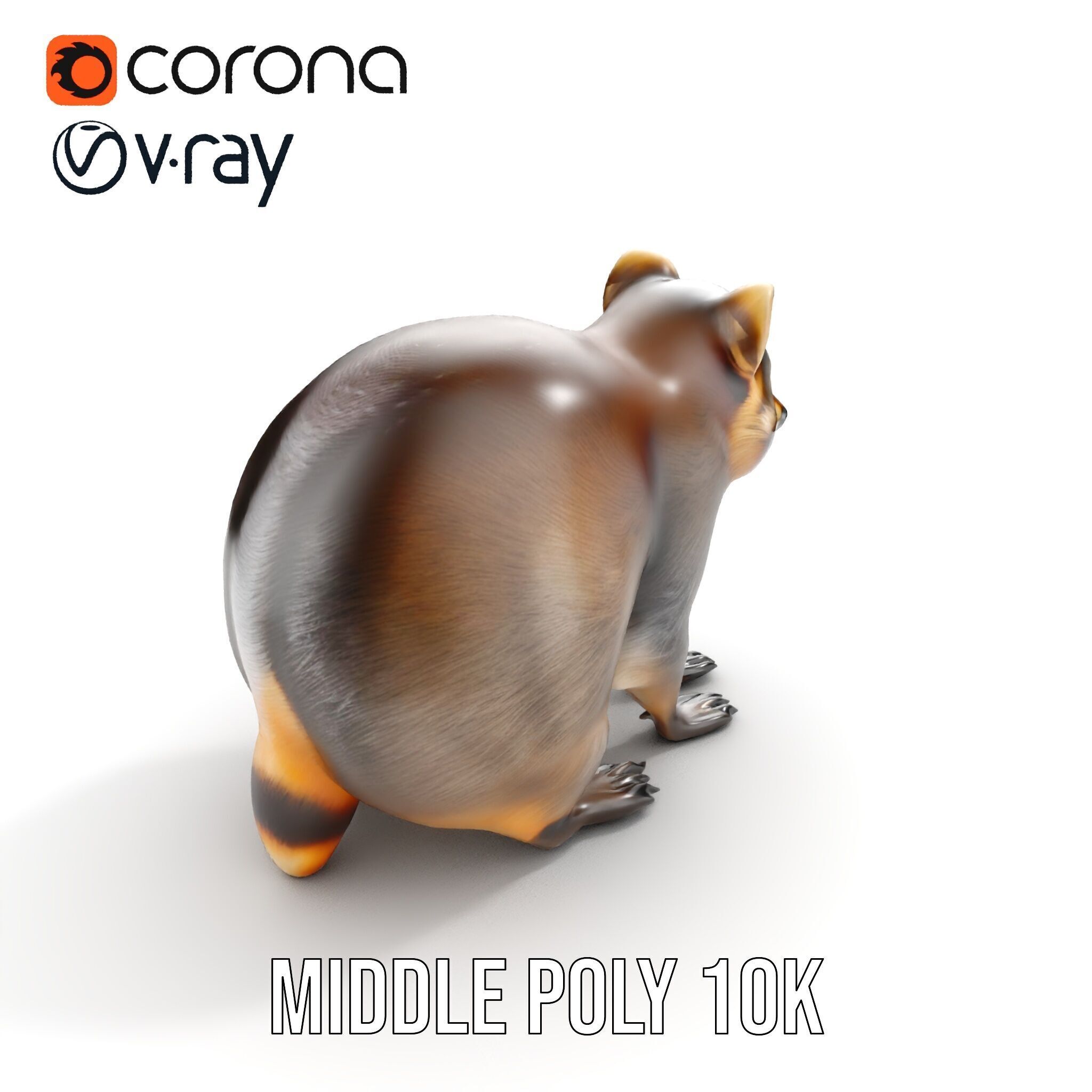 Realistic Raccoon Model Pack Low-poly 3D model_10