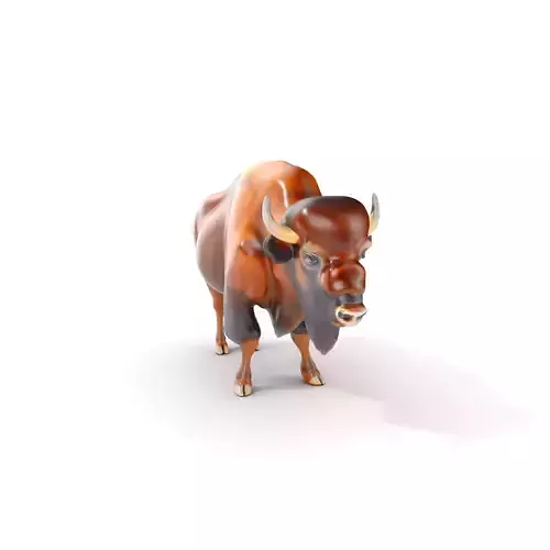Bison D Model Pack  Detailed Animal Render Low-poly 3D model