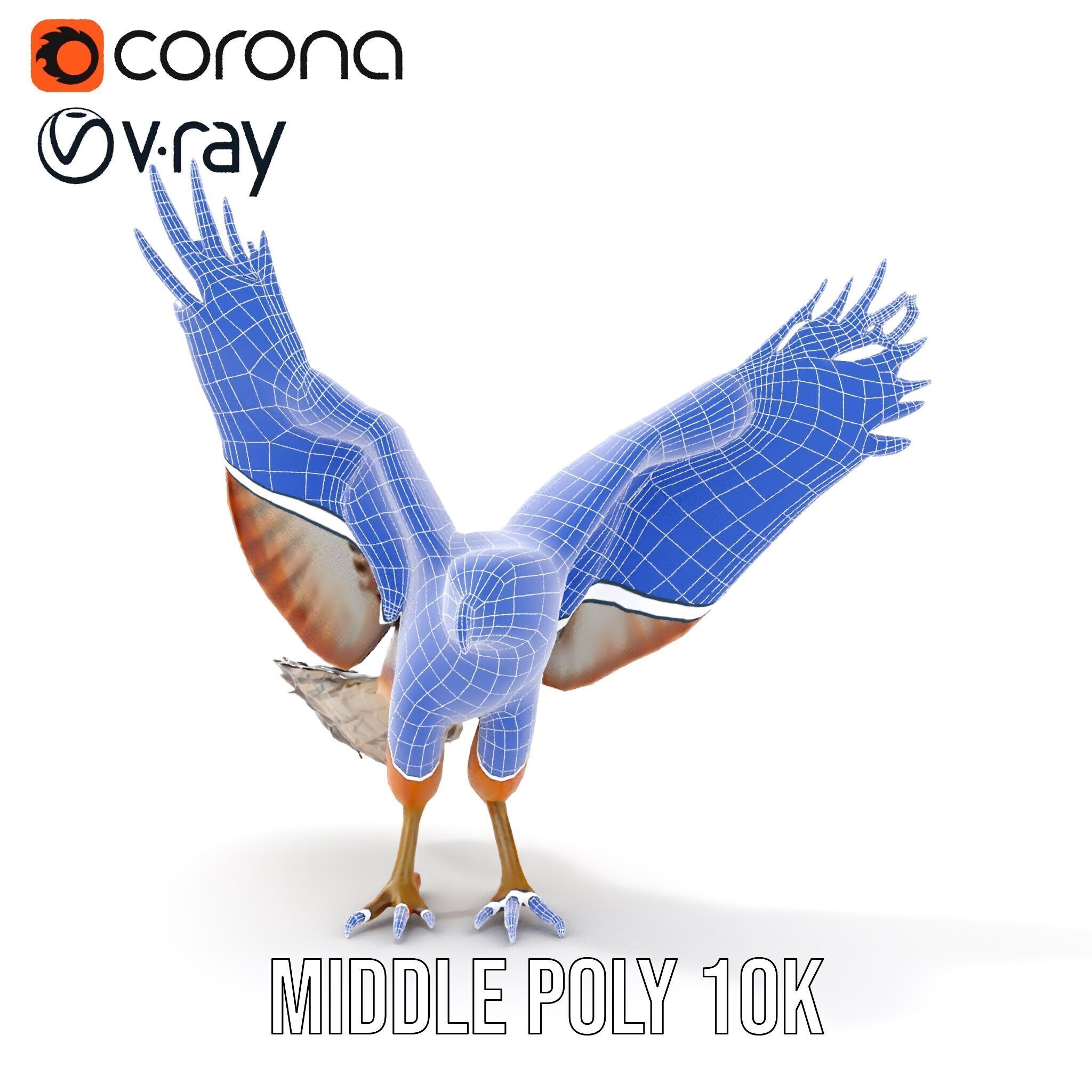 Eagle Model Pack  Realistic Bird D Model for Animation and Games Low-poly 3D model_29