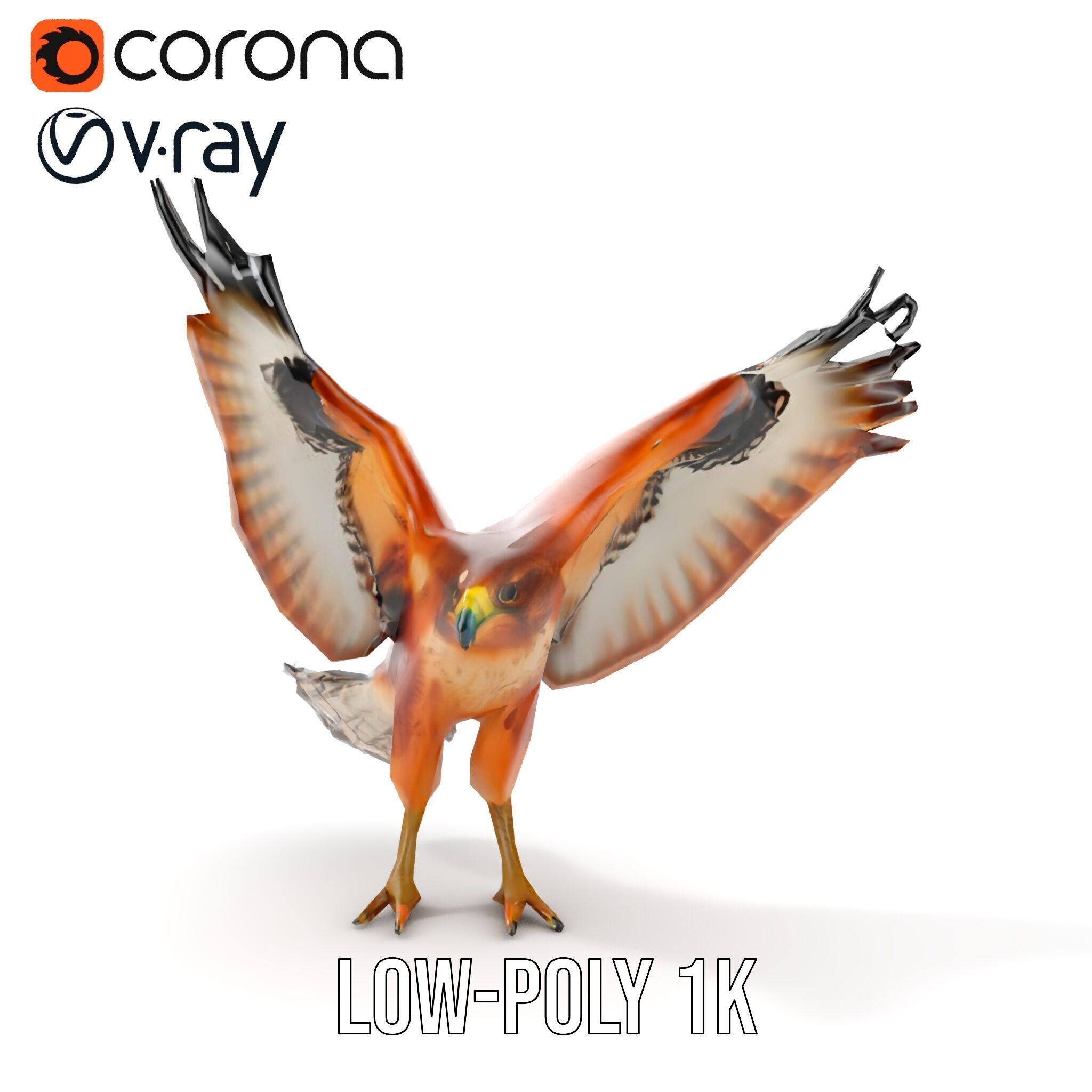 Eagle Model Pack  Realistic Bird D Model for Animation and Games Low-poly 3D model_24