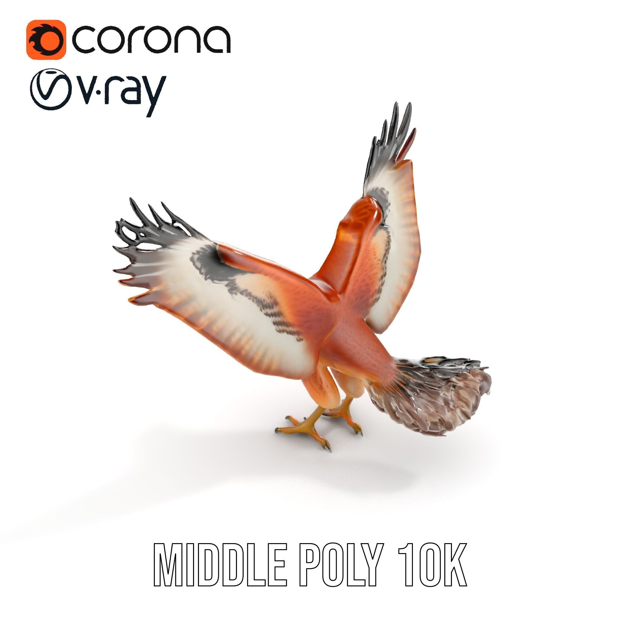 Eagle Model Pack  Realistic Bird D Model for Animation and Games Low-poly 3D model_9