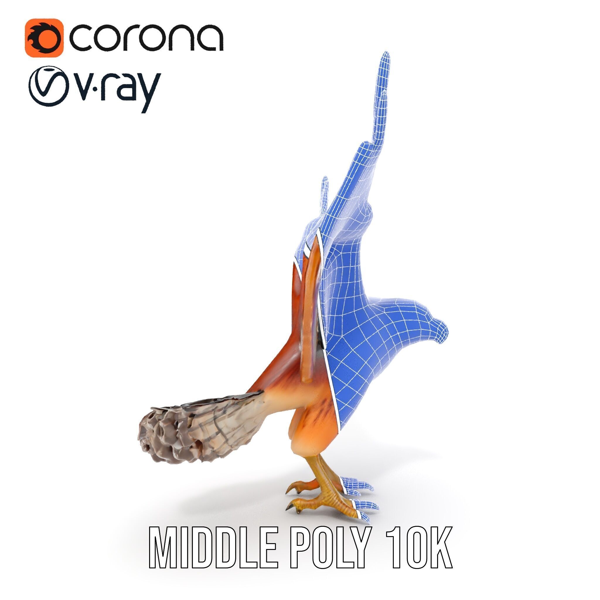 Eagle Model Pack  Realistic Bird D Model for Animation and Games Low-poly 3D model_32