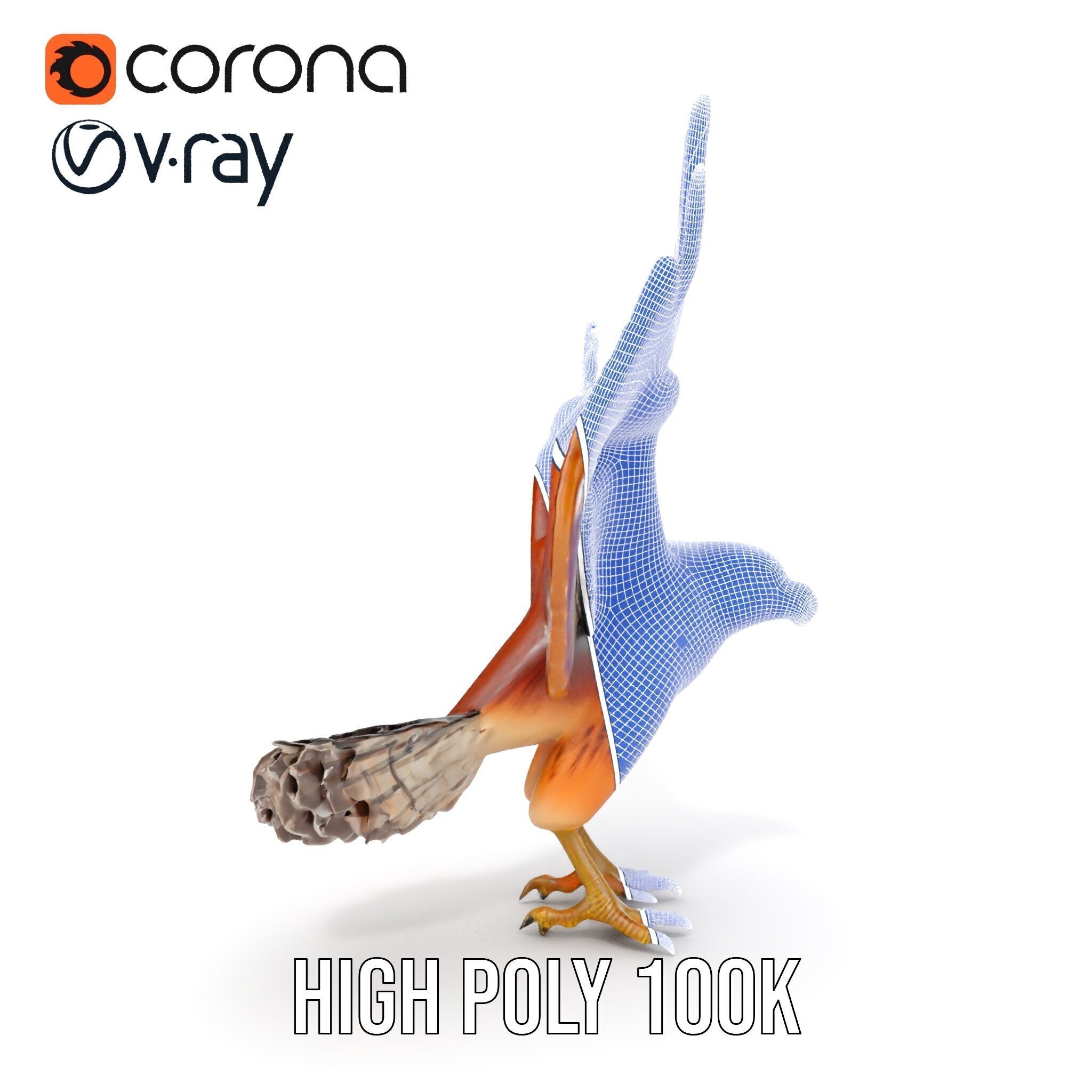 Eagle Model Pack  Realistic Bird D Model for Animation and Games Low-poly 3D model_36