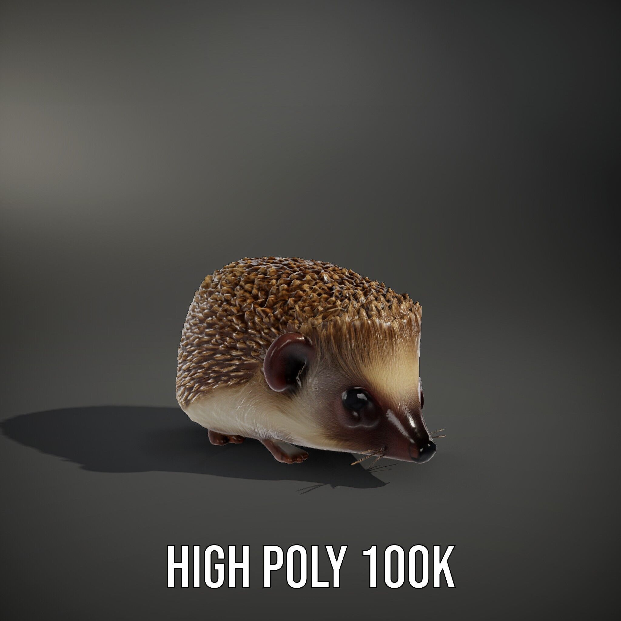 Hedgehog D Model Pack with Detailed Texturing Low-poly 3D model_14