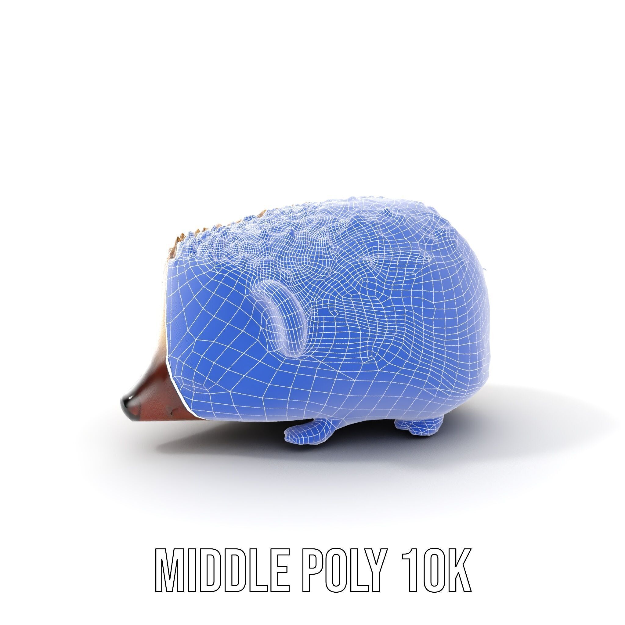 Hedgehog D Model Pack with Detailed Texturing Low-poly 3D model_19