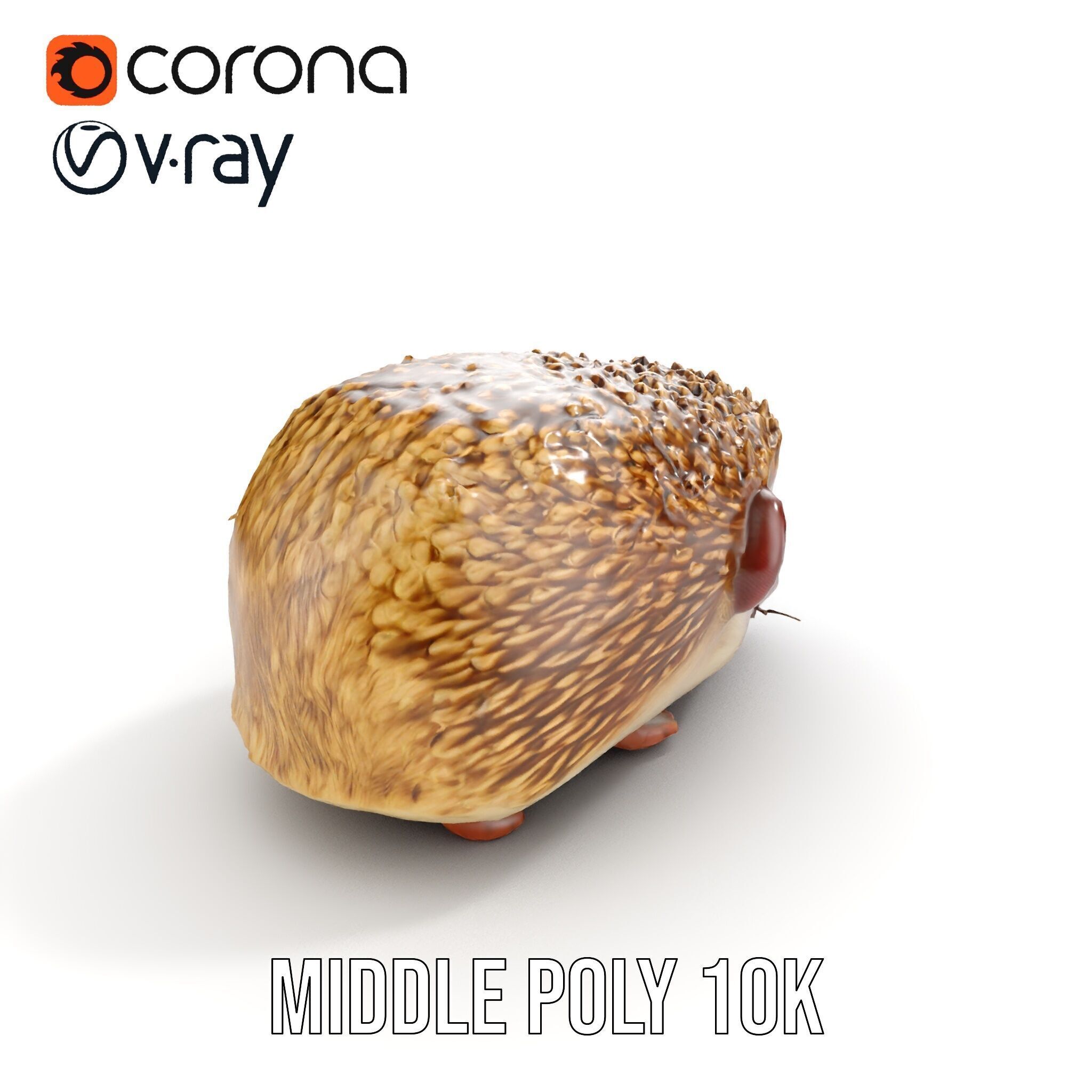 Hedgehog D Model Pack with Detailed Texturing Low-poly 3D model_6