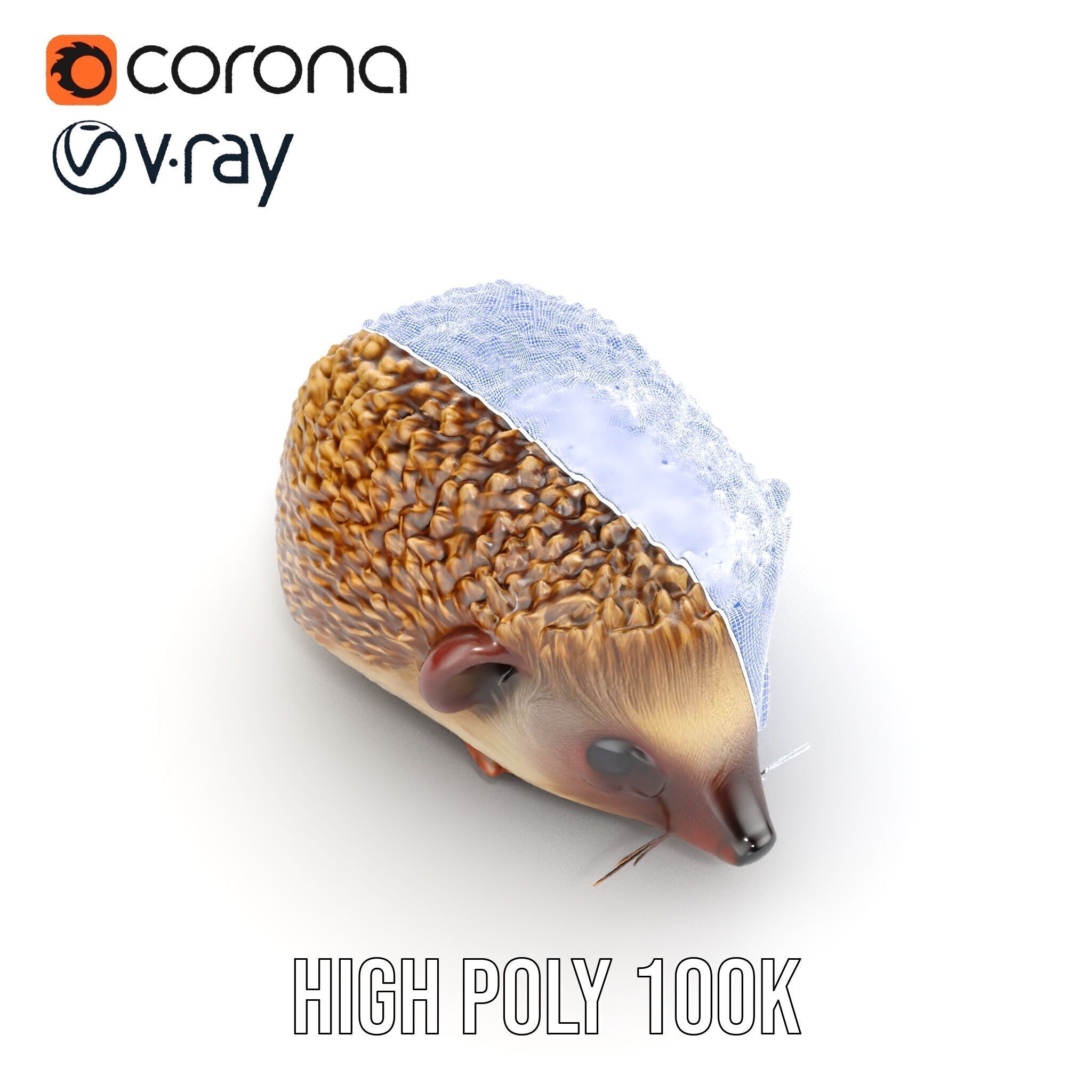 Hedgehog D Model Pack with Detailed Texturing Low-poly 3D model_29
