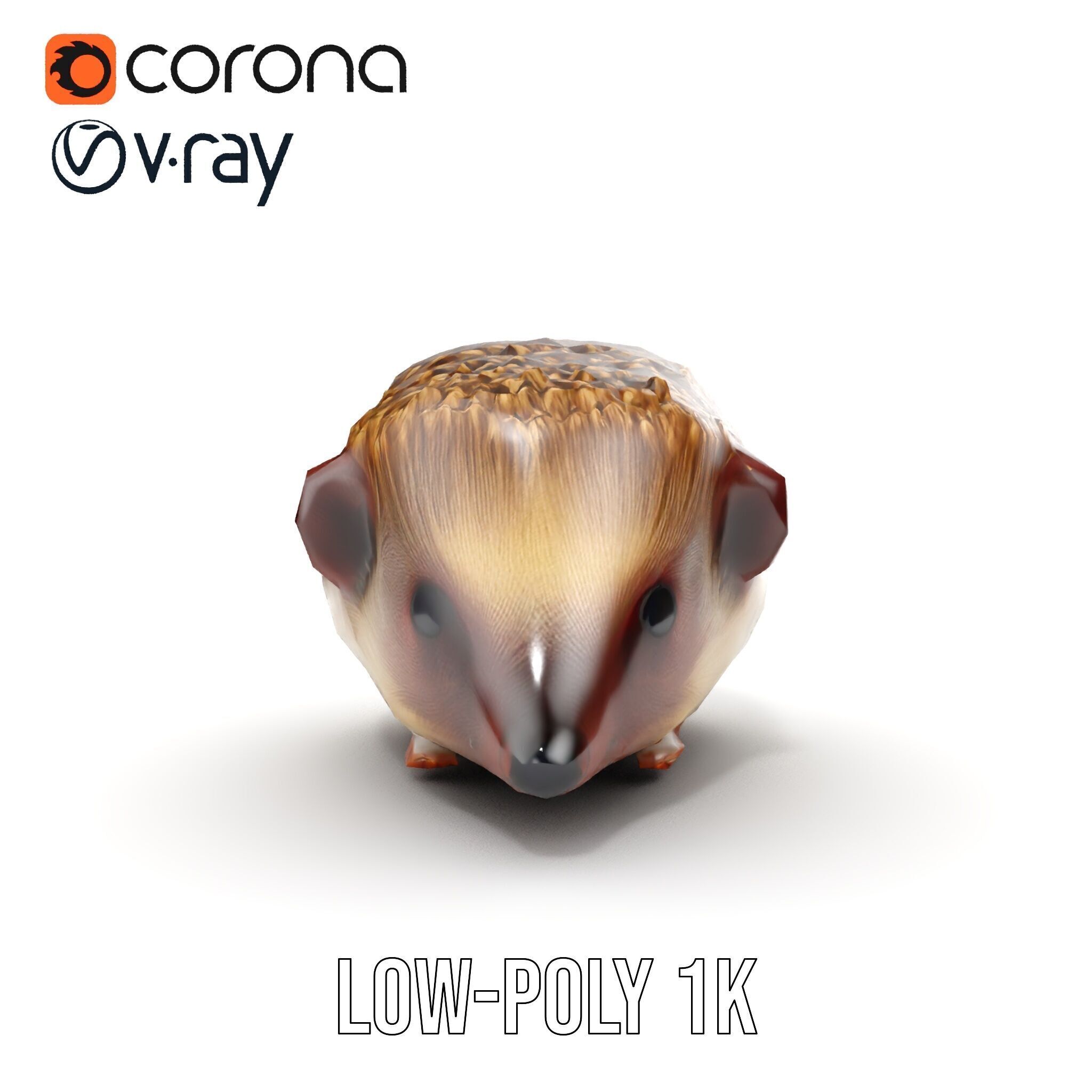 Hedgehog D Model Pack with Detailed Texturing Low-poly 3D model_10