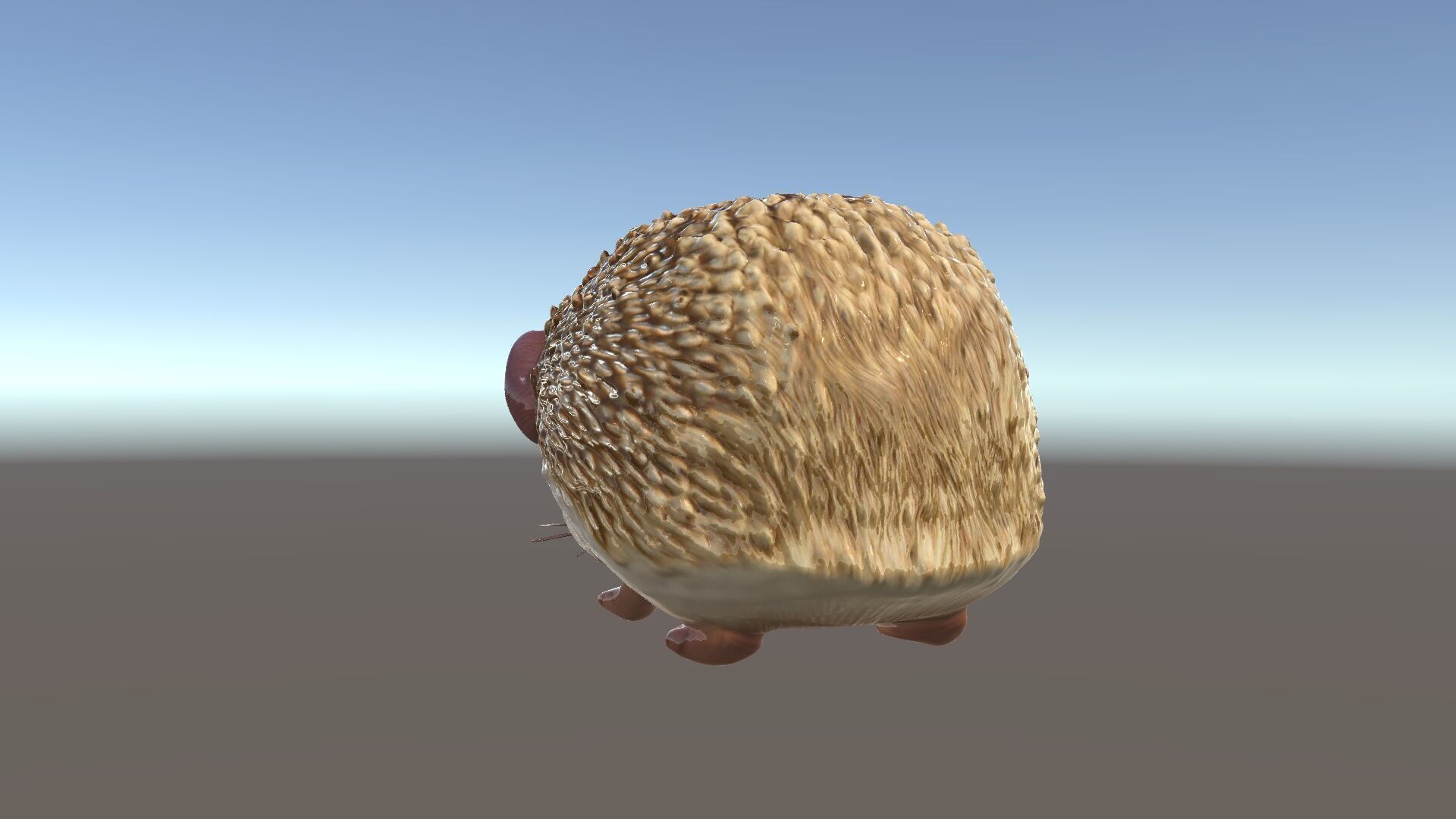Hedgehog D Model Pack with Detailed Texturing Low-poly 3D model_5