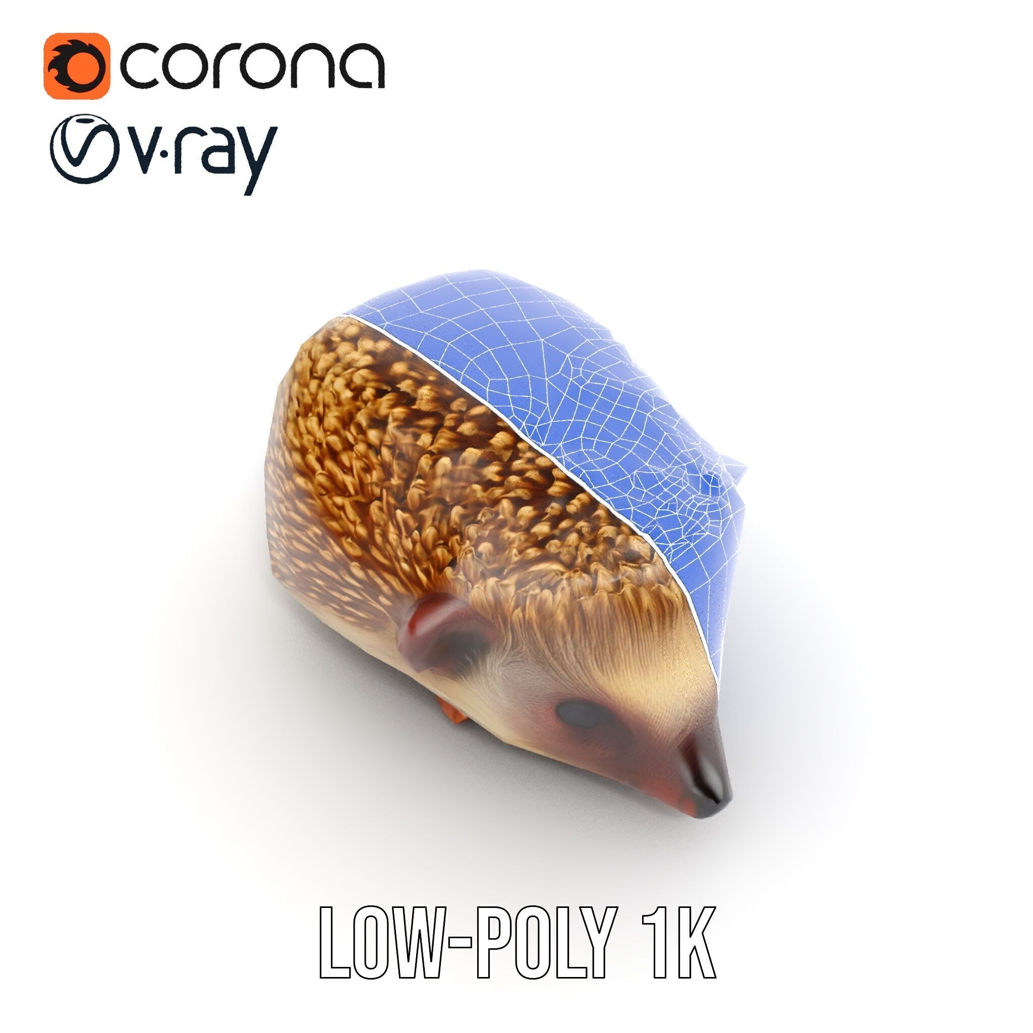 Hedgehog D Model Pack with Detailed Texturing Low-poly 3D model_28