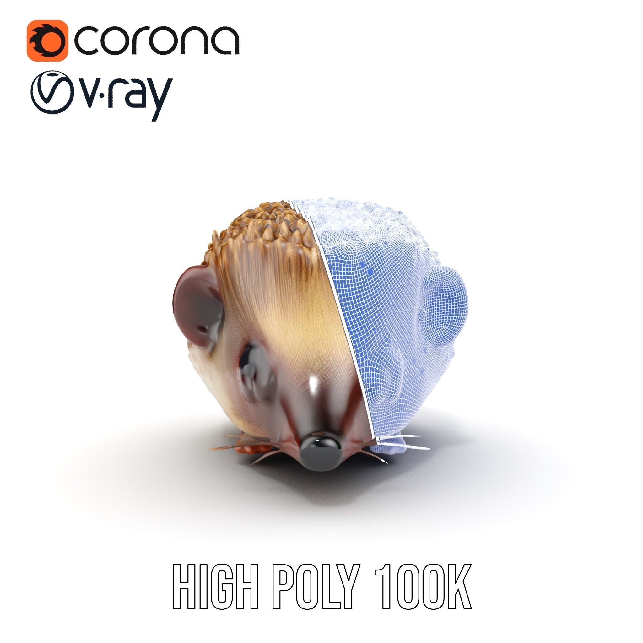 Hedgehog D Model Pack with Detailed Texturing Low-poly 3D model_38