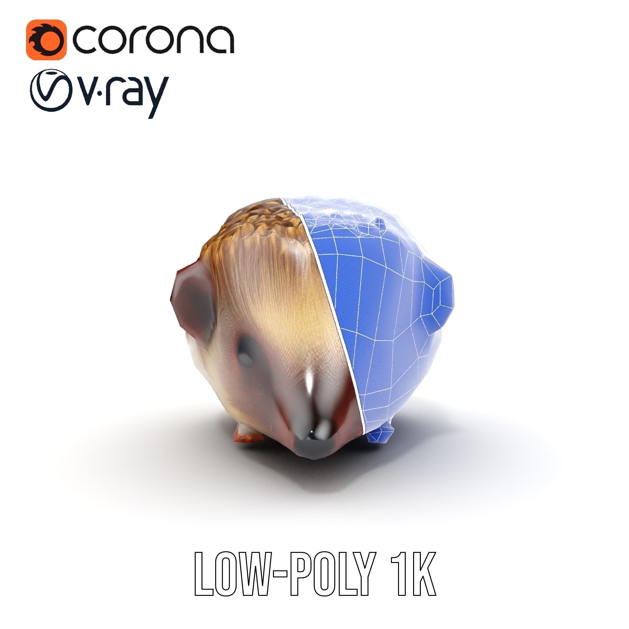 Hedgehog D Model Pack with Detailed Texturing Low-poly 3D model_25